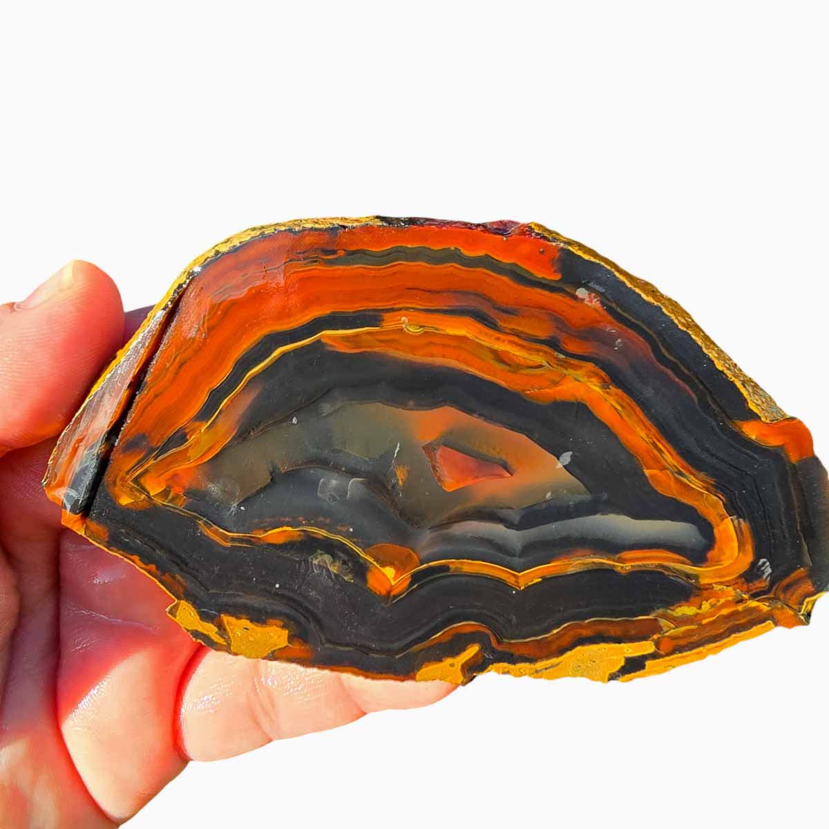 Piranha Brazilian Agate Slab  Lapidary Stone Slice Cut Rock