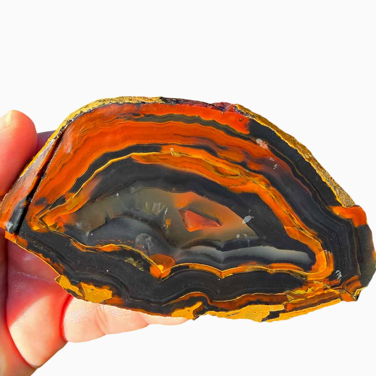 Piranha Brazilian Agate Slab  Lapidary Stone Slice Cut Rock