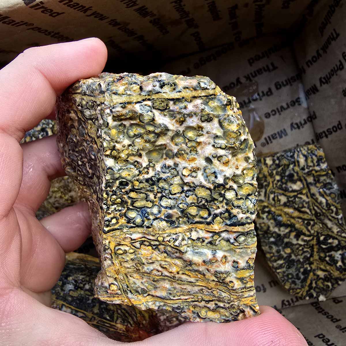 Leopard Skin Rhyolite Orbicular Cutting Rough Flatrate Lapidary Stone