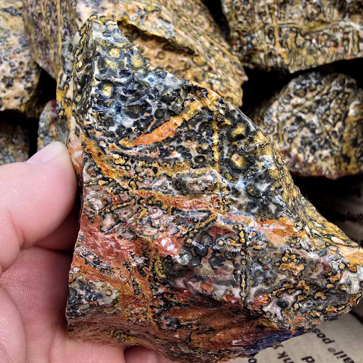 Leopard Skin Rhyolite Orbicular Cutting Rough Flatrate Lapidary Stone