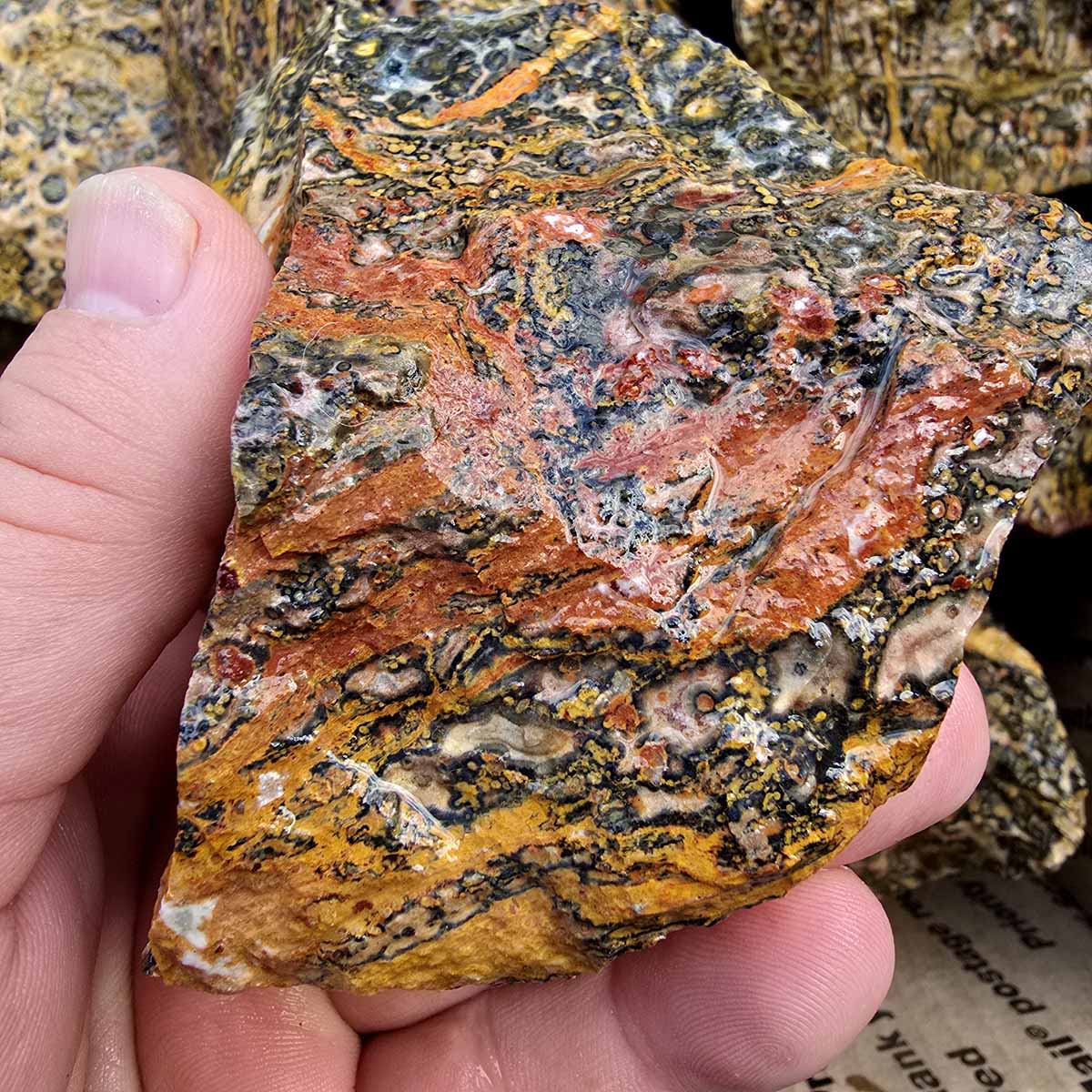 Leopard Skin Rhyolite Orbicular Cutting Rough Flatrate Lapidary Stone