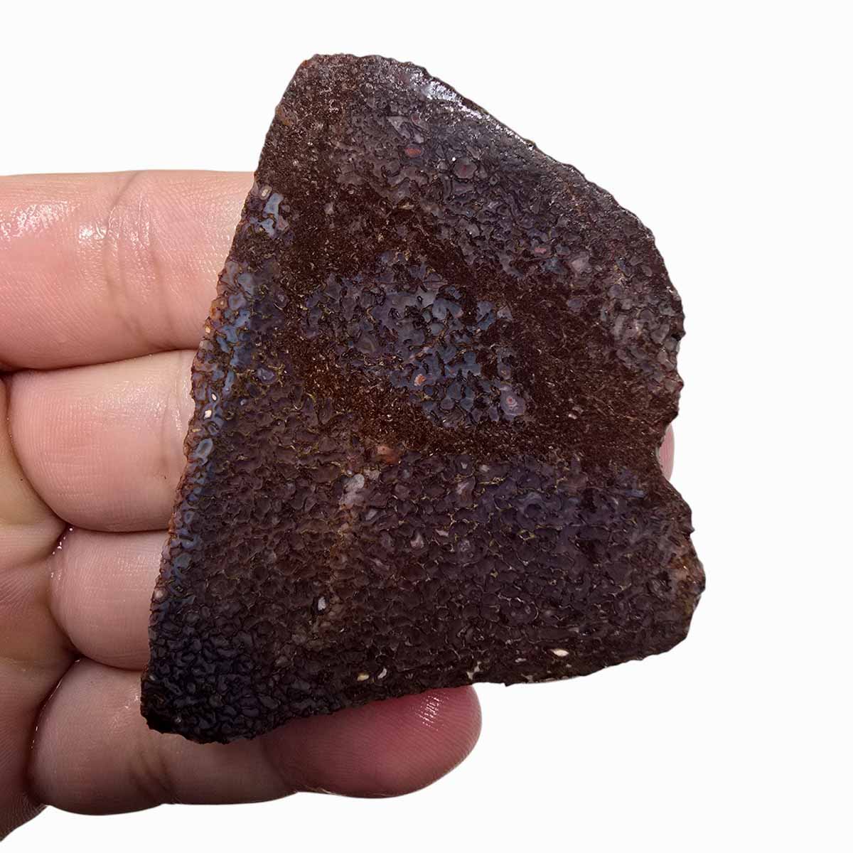 Gem Dinosaur Bone Slab Lapidary Stone Slice Cut Rock Dino Bone