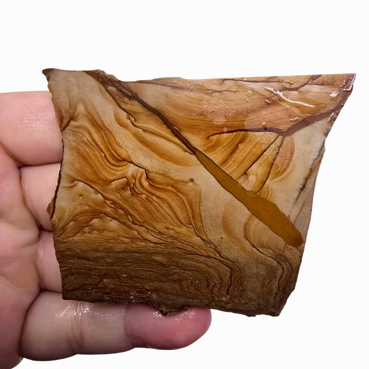 Old Stock Biggs Picture Jasper Slab  Lapidary Stone Slab