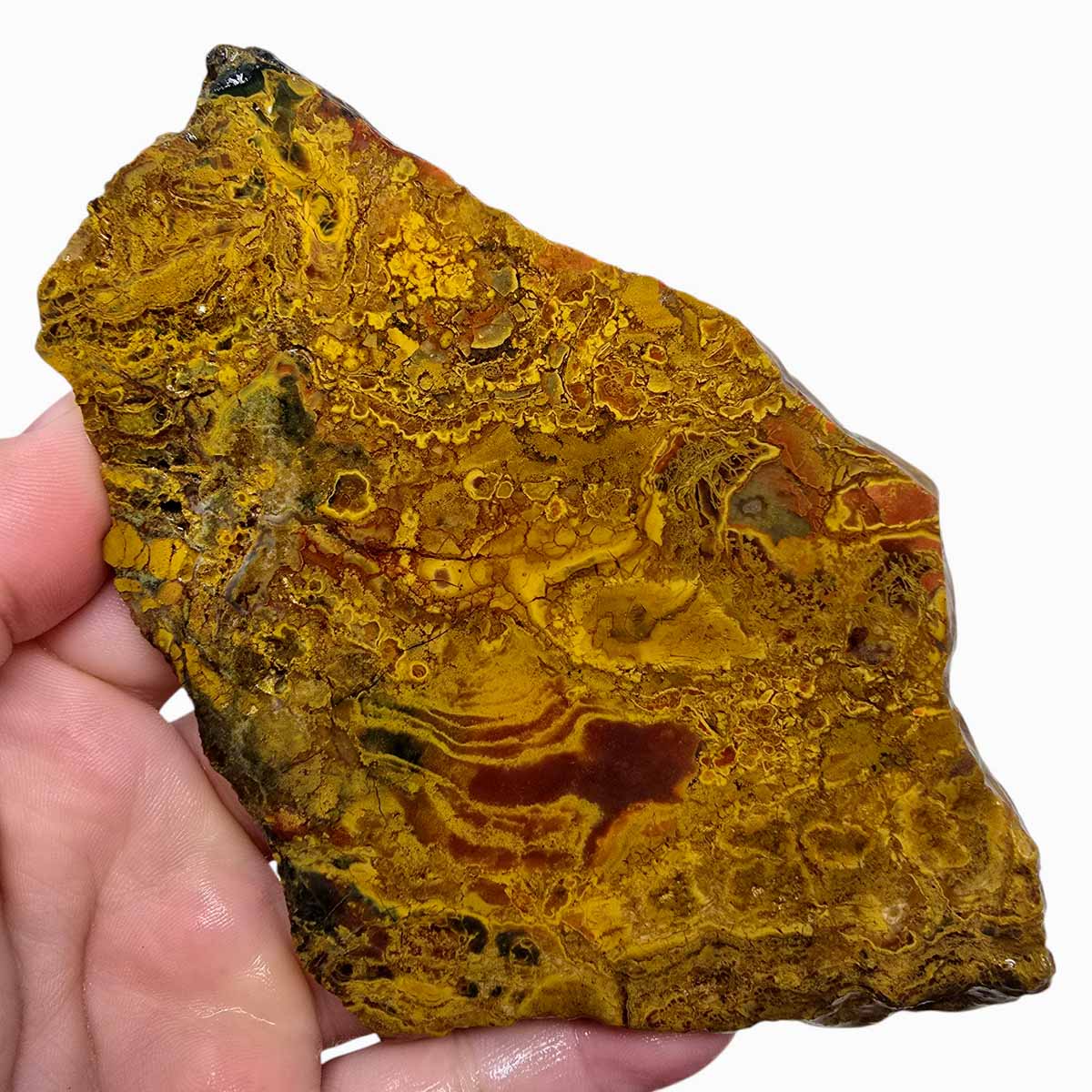 Kaleidoscope Jasper Slab Lapidary Stone Slice Cut Rock