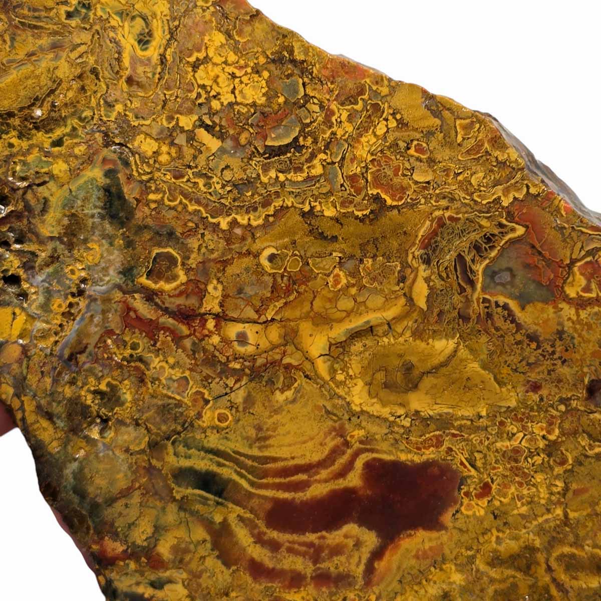 Kaleidoscope Jasper Slab Lapidary Stone Slice Cut Rock