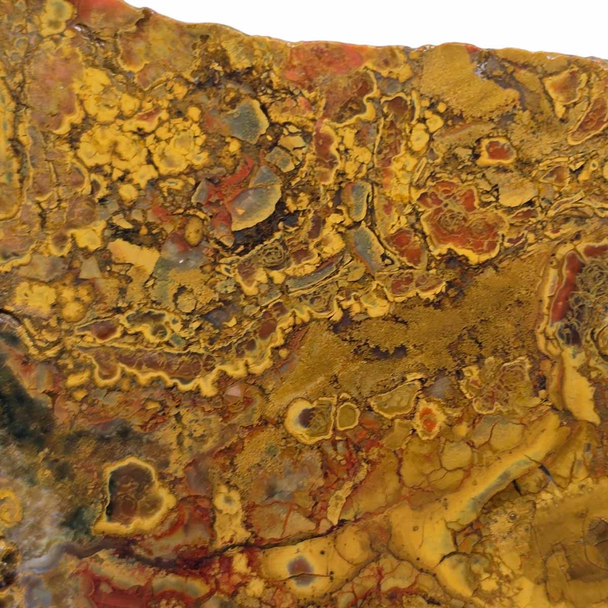 Kaleidoscope Jasper Slab Lapidary Stone Slice Cut Rock