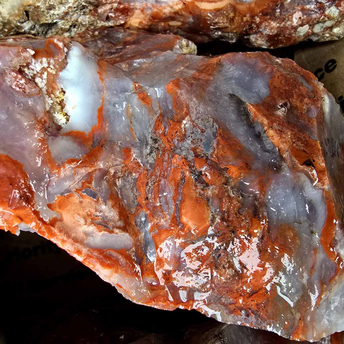 Red Velvet Agate Lapidary Rough Flatrate Slicing Stones Rock Box