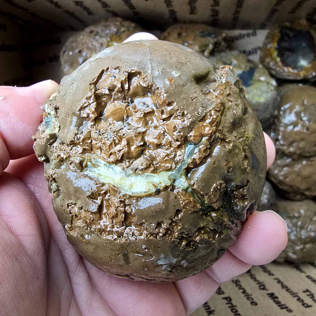 Old Stock Oregon Thunderegg Cutting Rough Flatrate Slicing Stones Rock Box