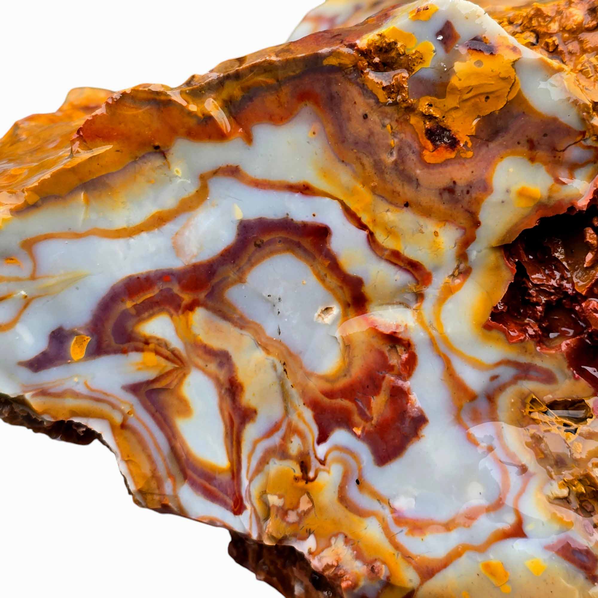 Rooster Tail Rhyolite Lapidary Cutting Rough Chunk