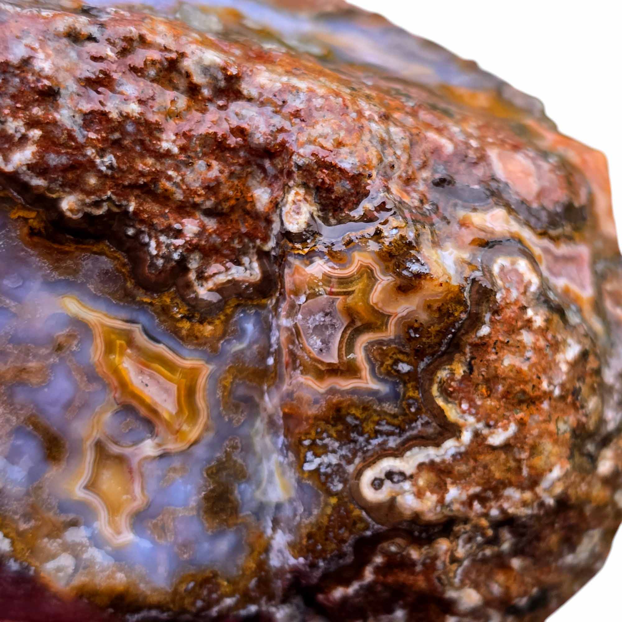 Agua Nueva Agate New Water Agate Rough Chunk