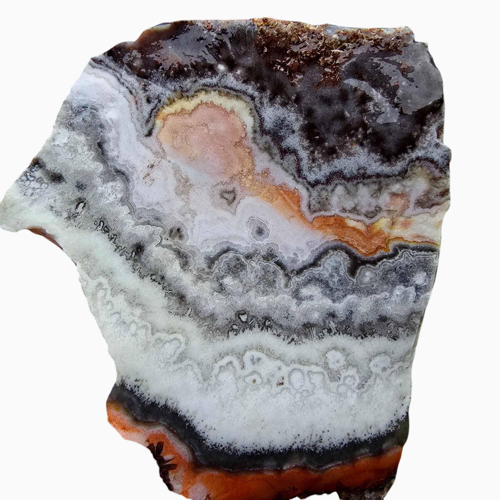 Crazy Lace Agate Lapidary Rough Chunk Cacus Lace Agate