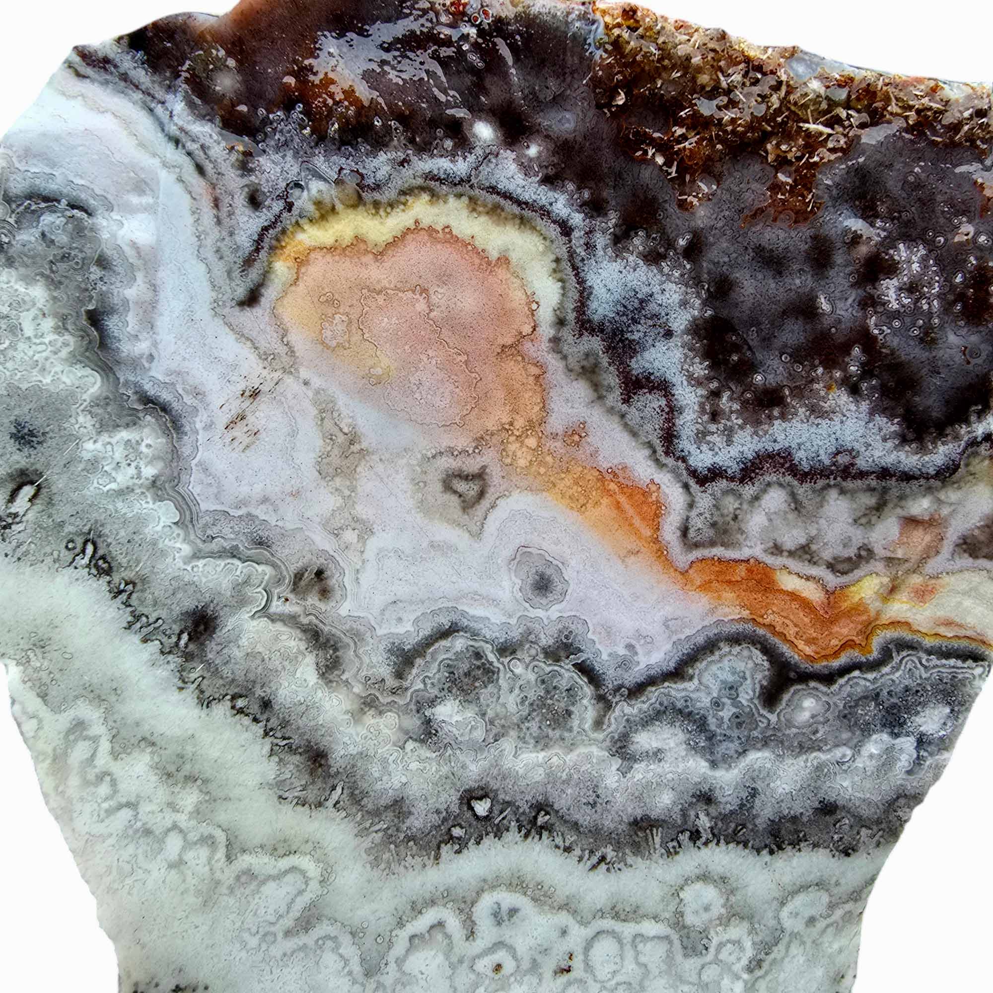 Crazy Lace Agate Lapidary Rough Chunk Cacus Lace Agate