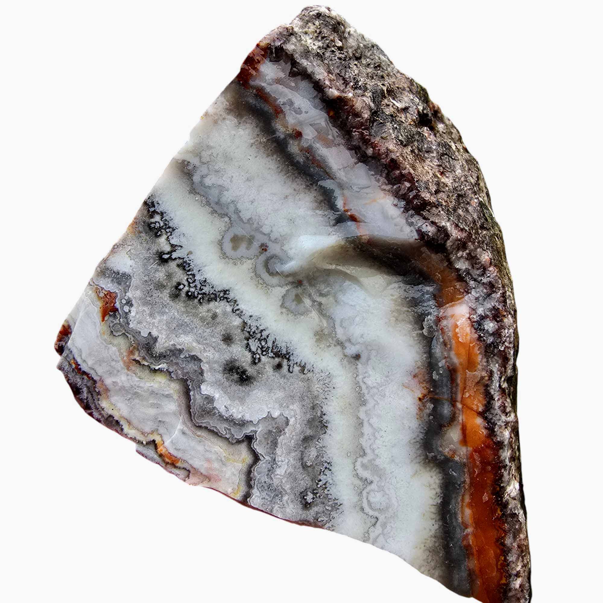 Crazy Lace Agate Lapidary Rough Chunk Cacus Lace Agate