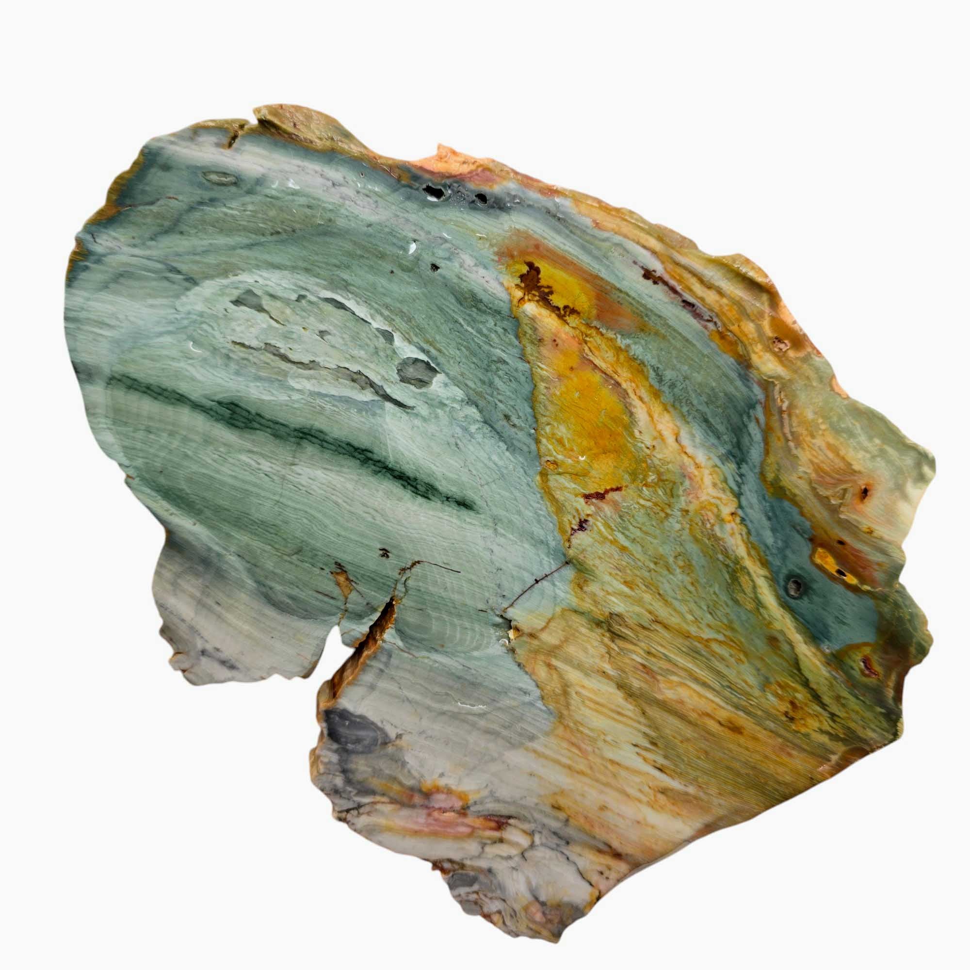 Ellipso Gary Green Larsonite Freedom Jasper Slab Lapidary Stone Slice Cut Rock