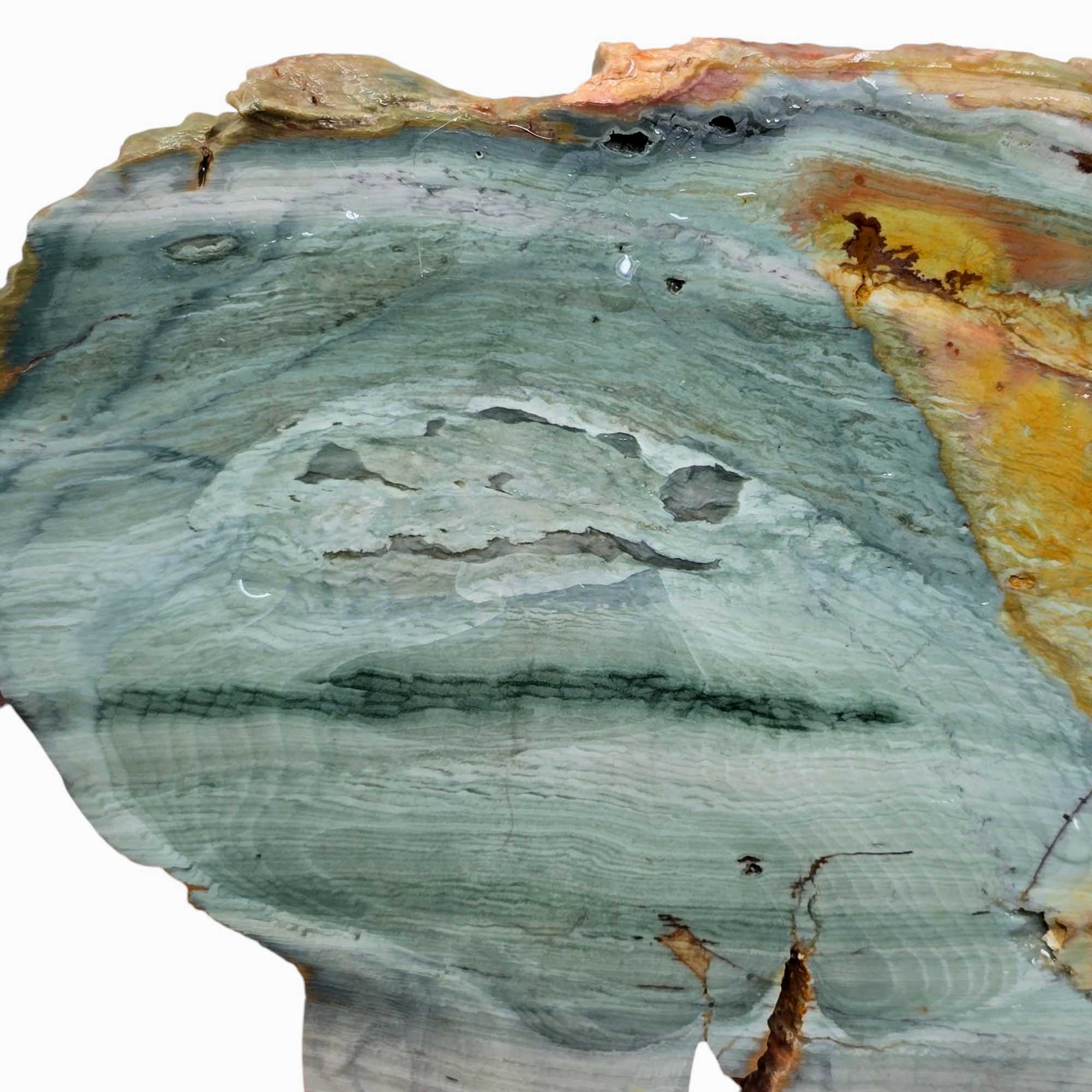 Ellipso Gary Green Larsonite Freedom Jasper Slab Lapidary Stone Slice Cut Rock