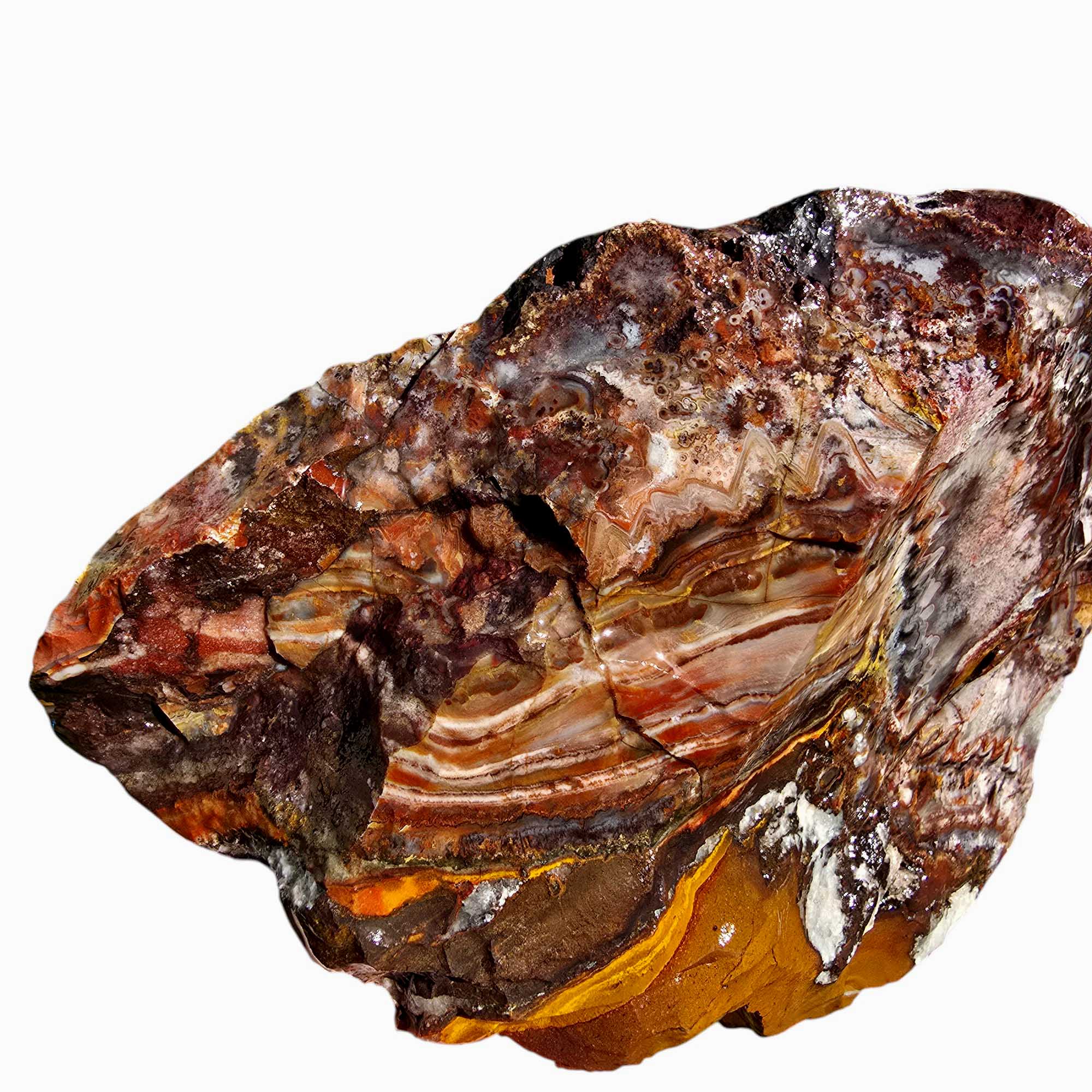 Sarape Jasper Crazy Lace Relative Rough Chunk Lapidary Stone