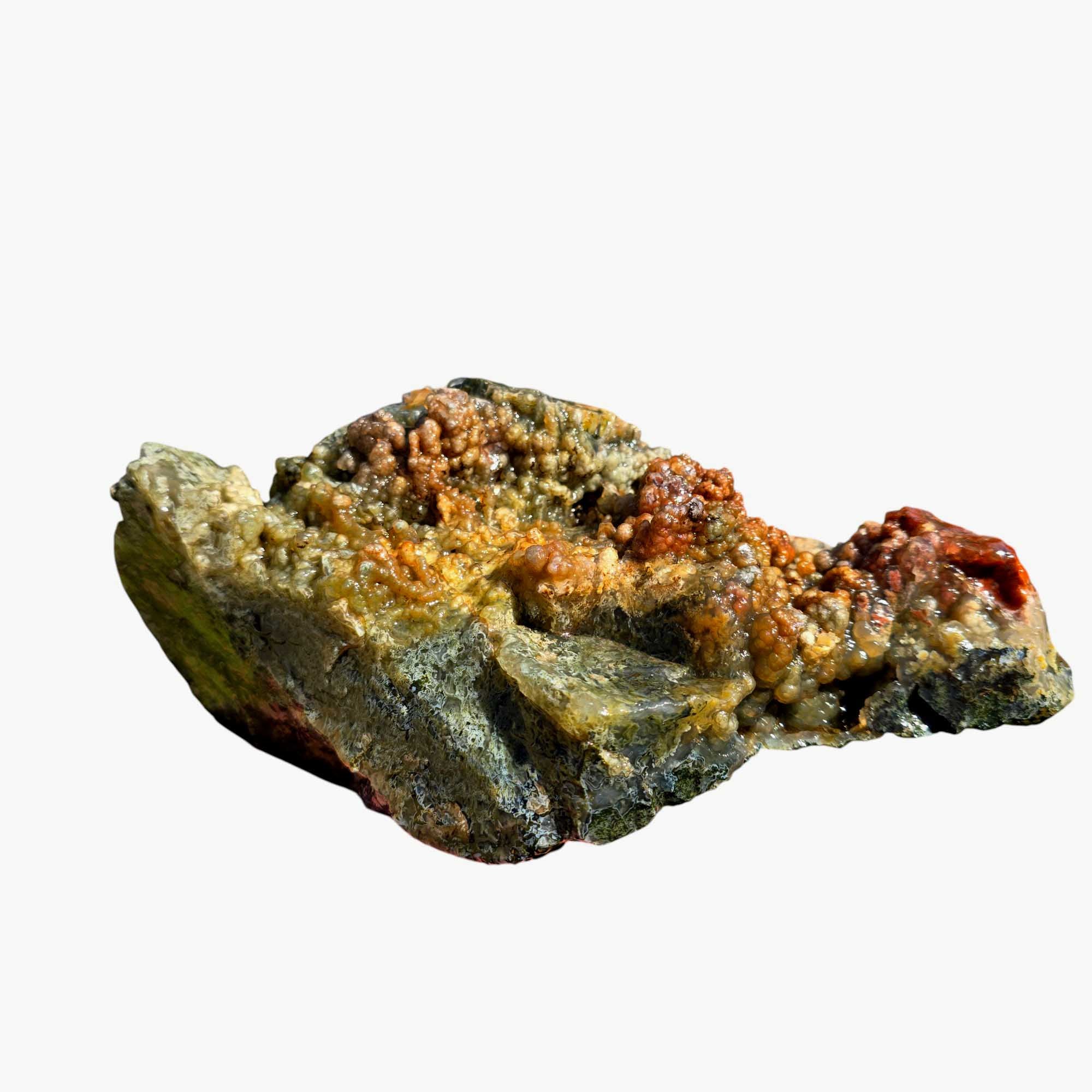 Maury Mountain Moss Agate Lapidary Cutting Rough Chunk