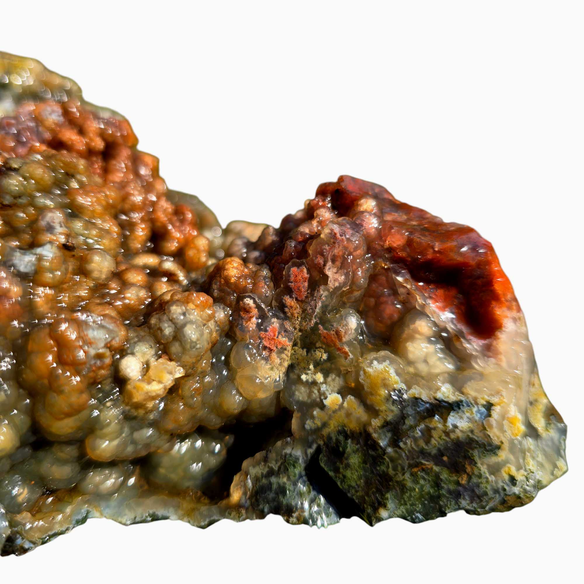 Maury Mountain Moss Agate Lapidary Cutting Rough Chunk