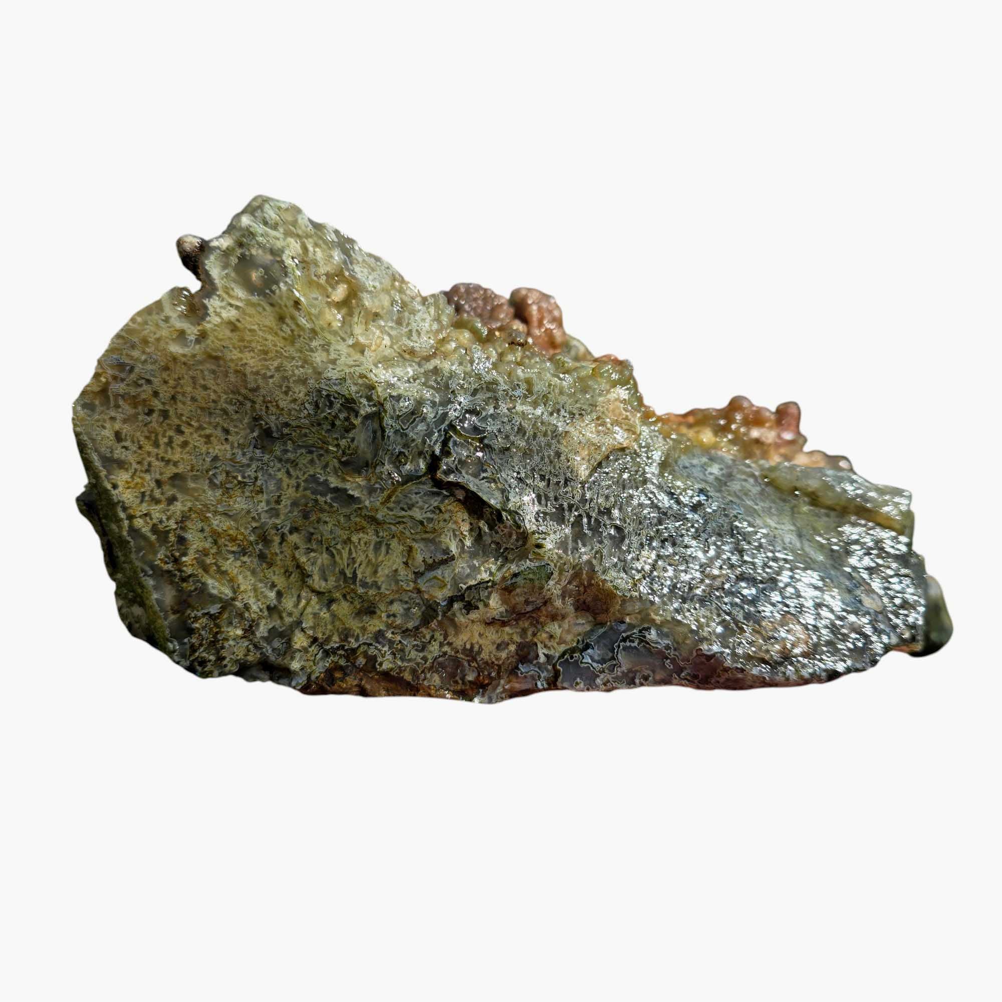 Maury Mountain Moss Agate Lapidary Cutting Rough Chunk