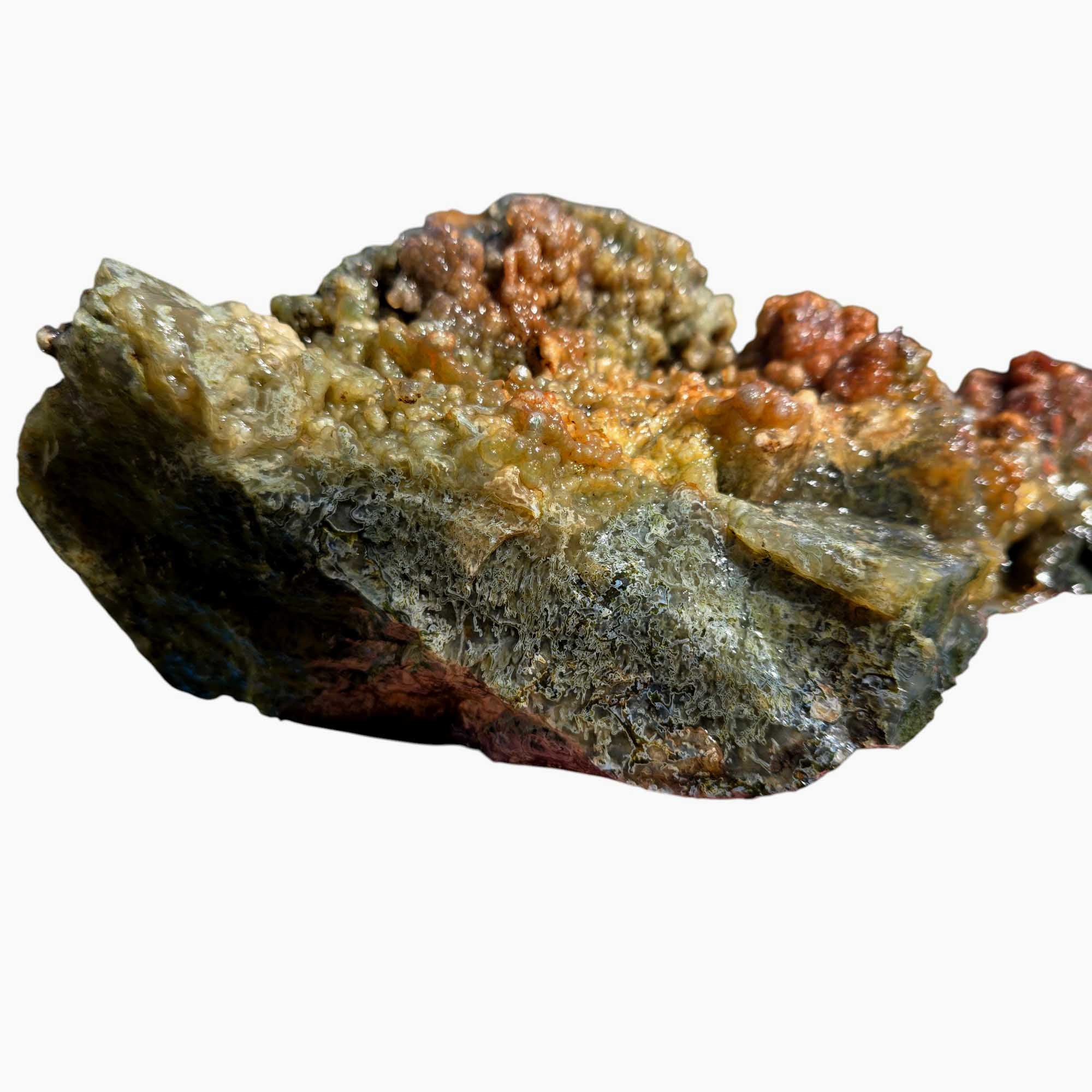 Maury Mountain Moss Agate Lapidary Cutting Rough Chunk