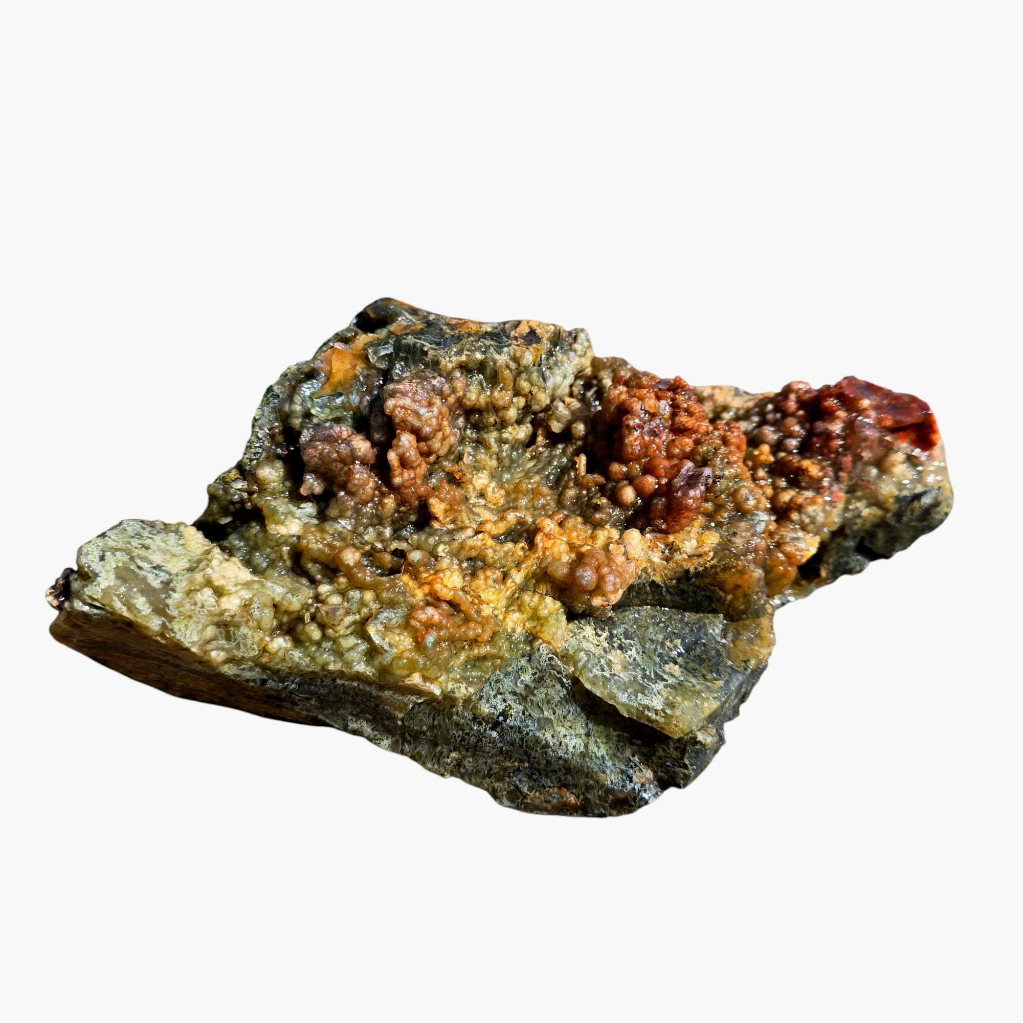 Maury Mountain Moss Agate Lapidary Cutting Rough Chunk