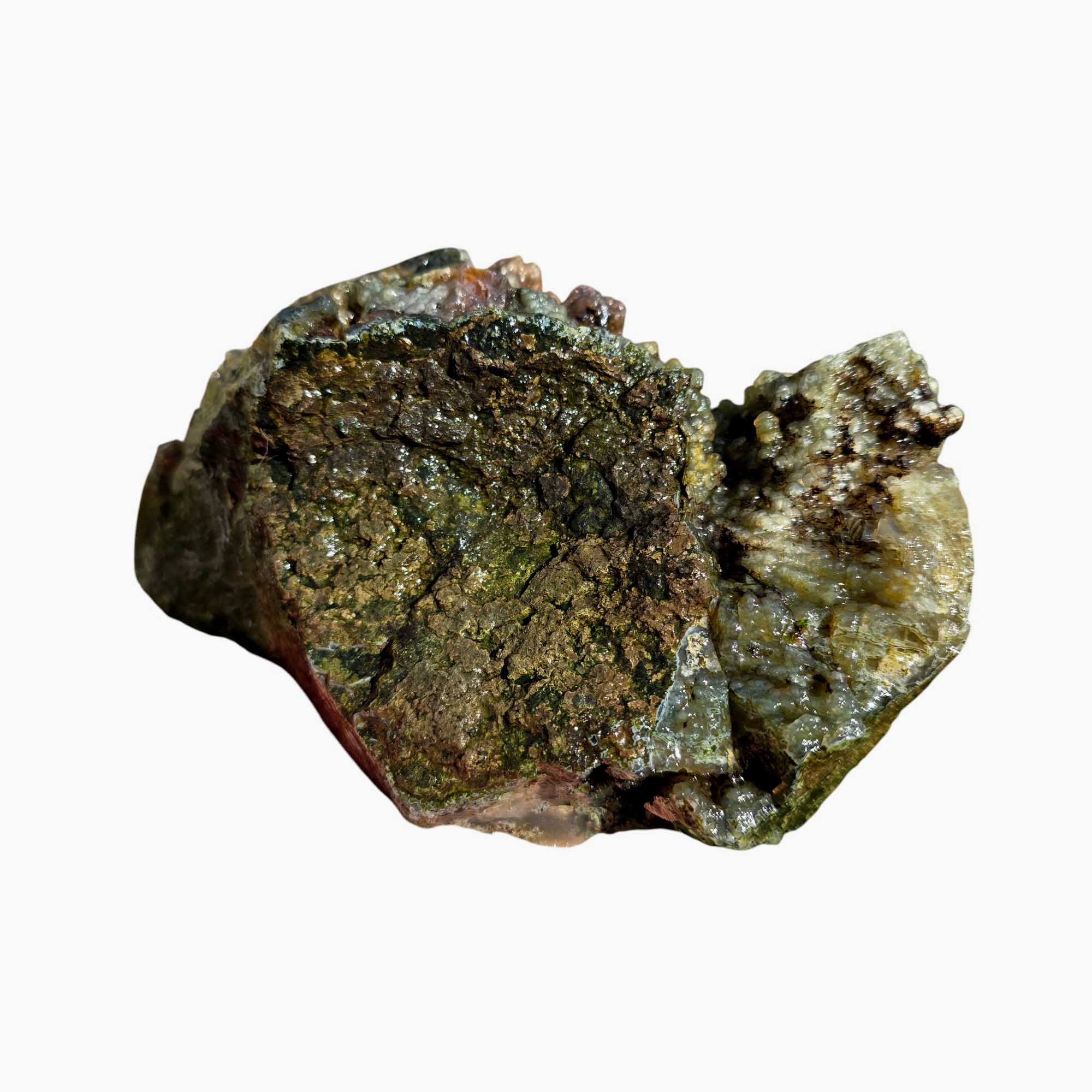 Maury Mountain Moss Agate Lapidary Cutting Rough Chunk