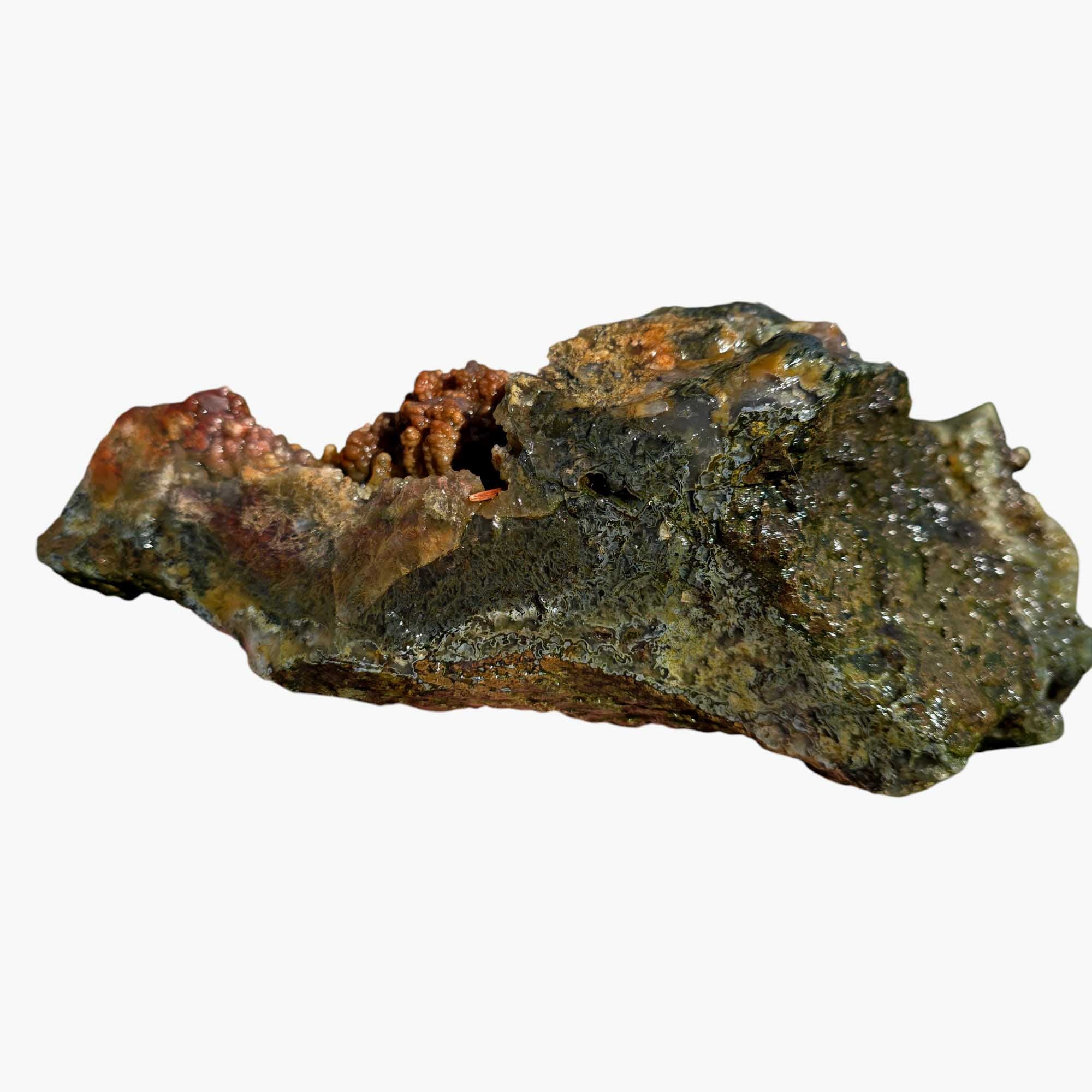 Maury Mountain Moss Agate Lapidary Cutting Rough Chunk