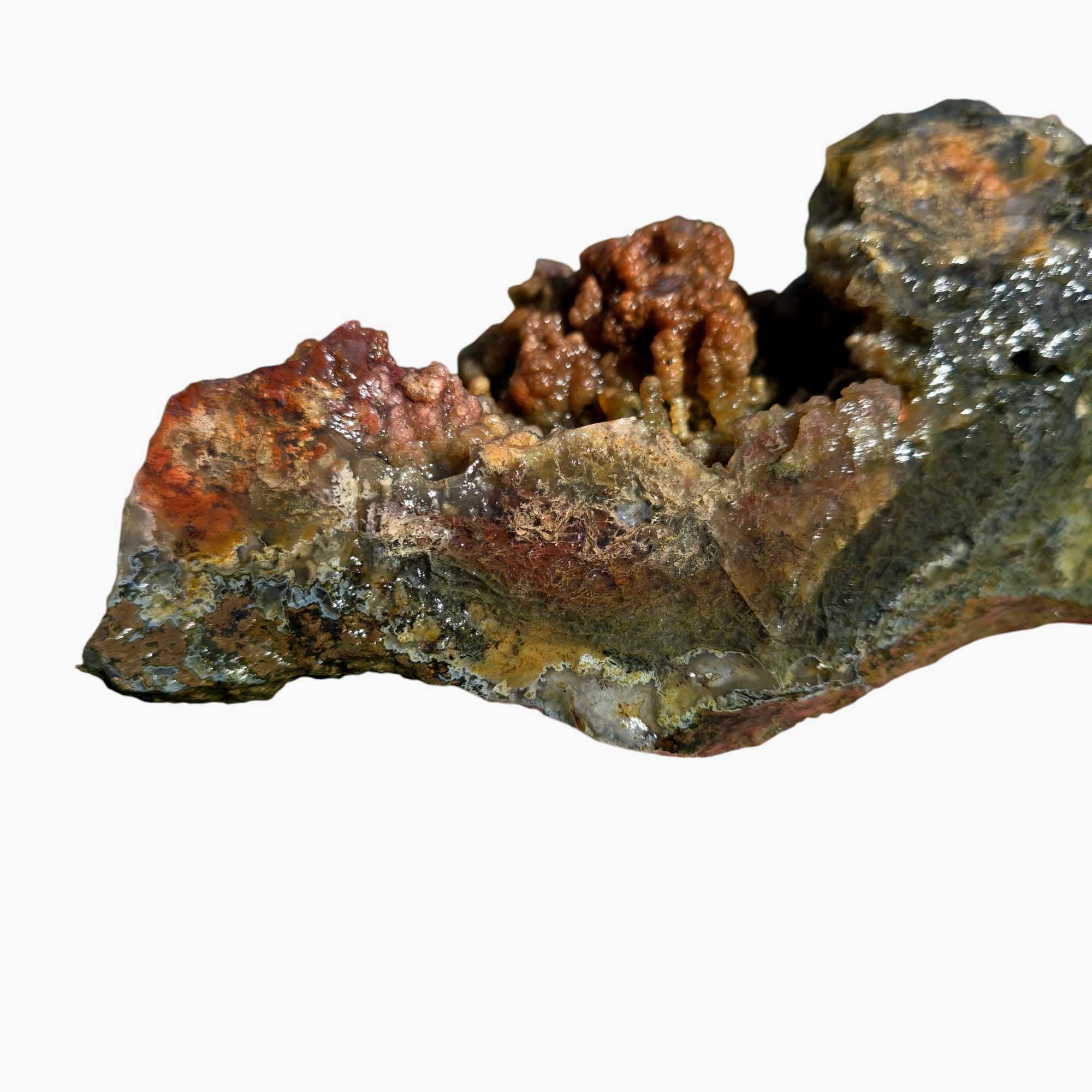 Maury Mountain Moss Agate Lapidary Cutting Rough Chunk