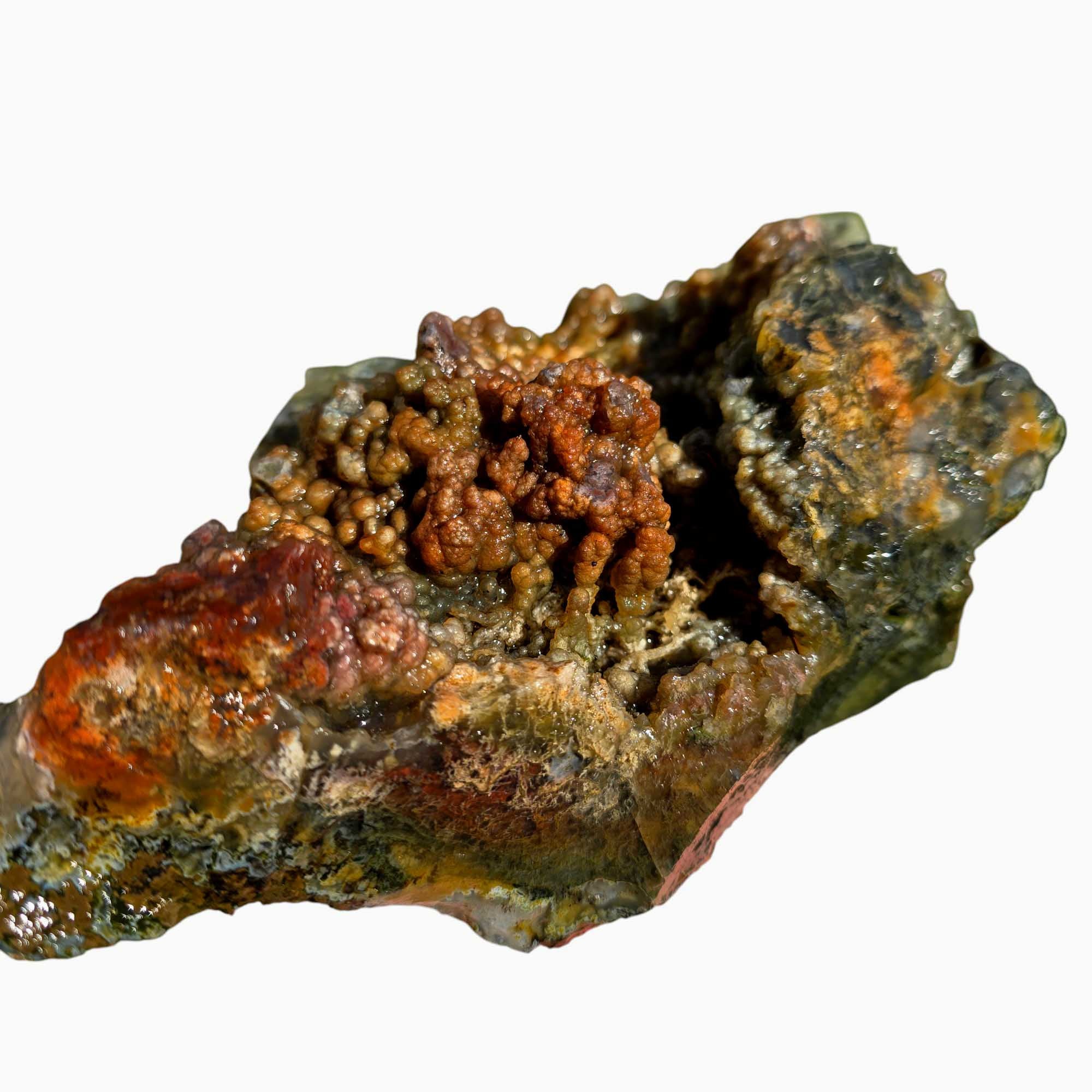 Maury Mountain Moss Agate Lapidary Cutting Rough Chunk