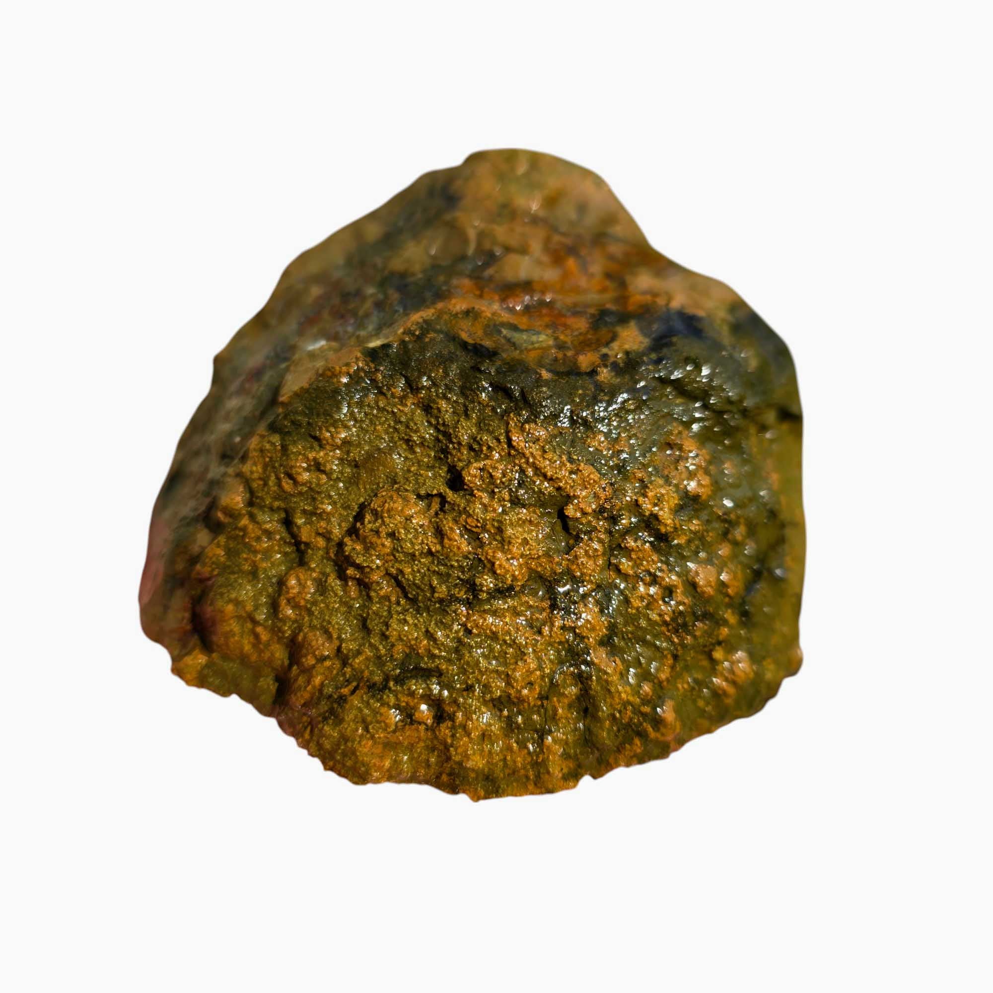 Priday Moss Bed Egg Rough Chunk Lapidary Stone Cut Face