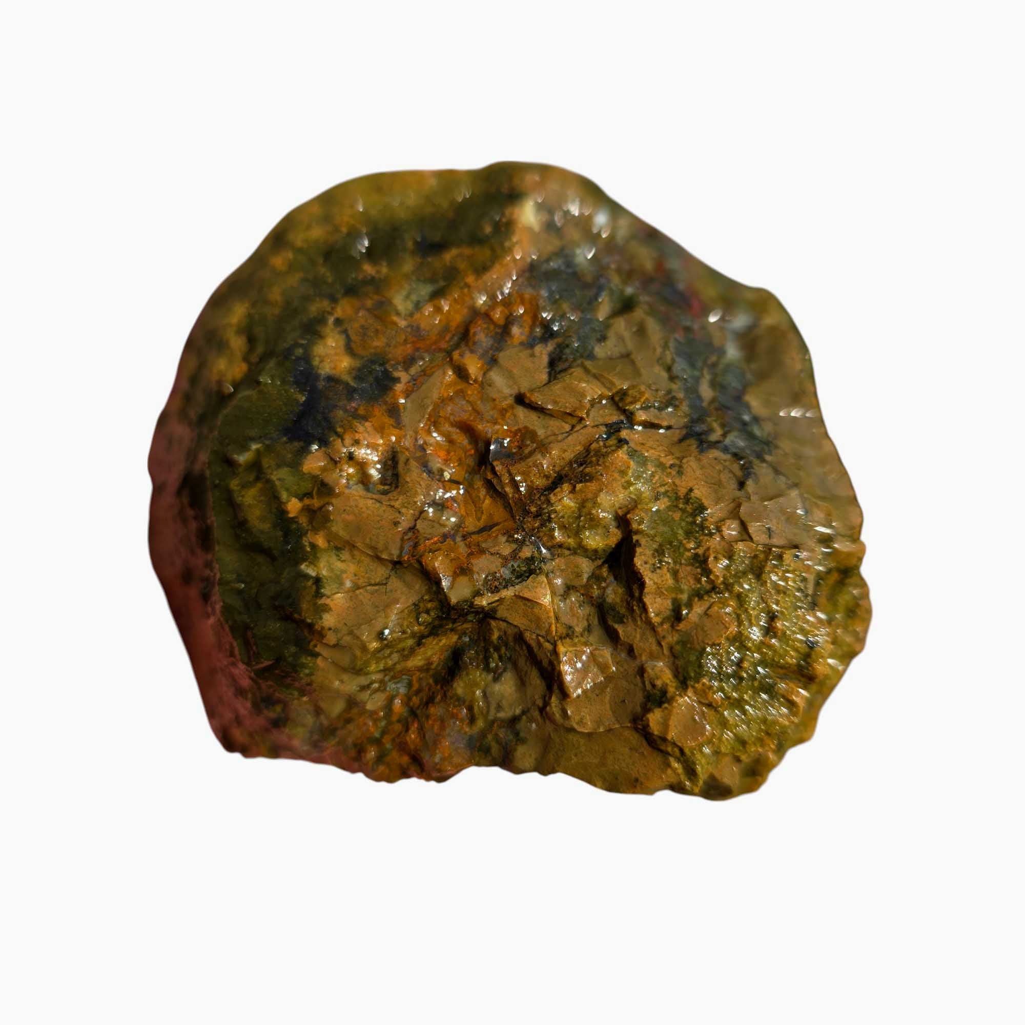 Priday Moss Bed Egg Rough Chunk Lapidary Stone Cut Face