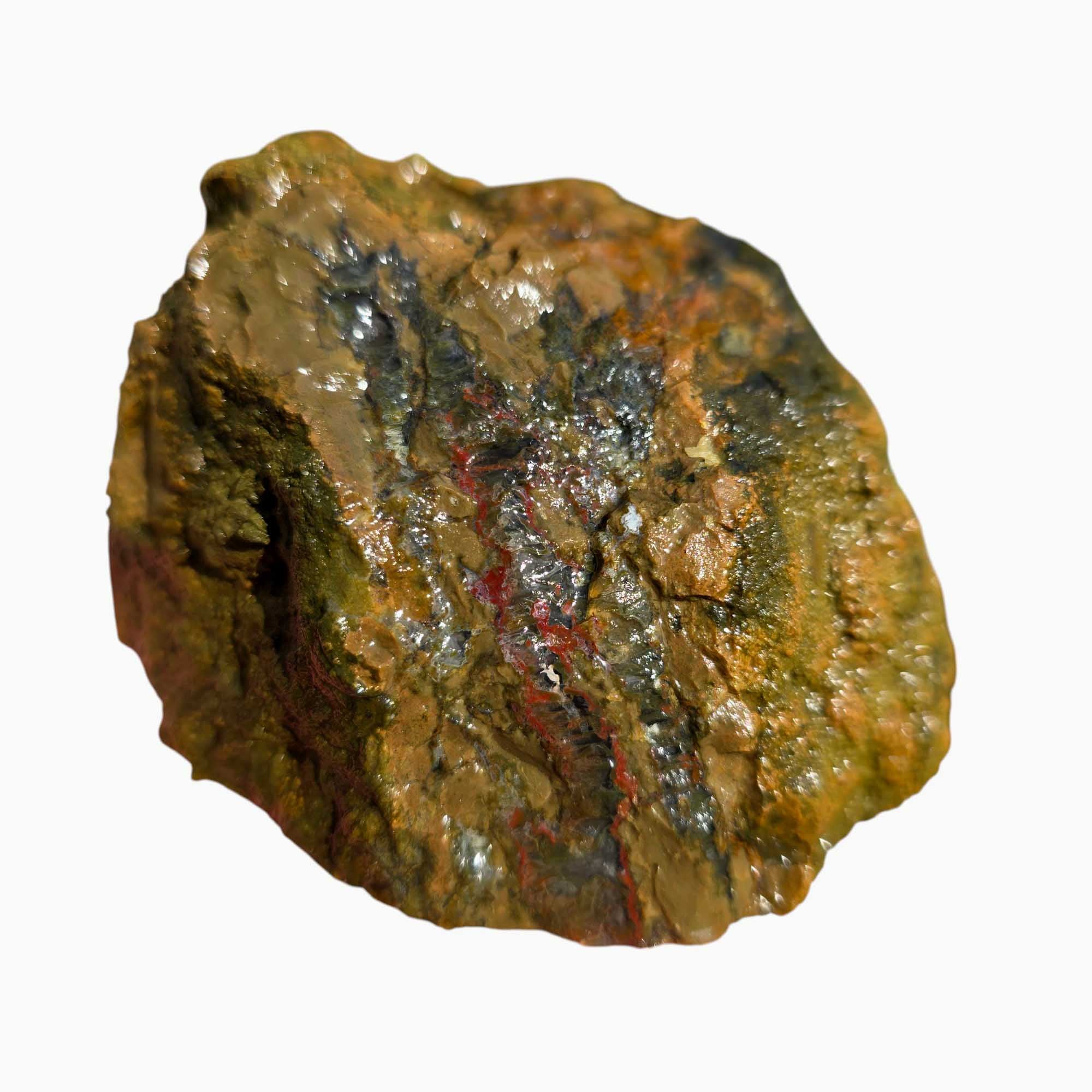 Priday Moss Bed Egg Rough Chunk Lapidary Stone Cut Face