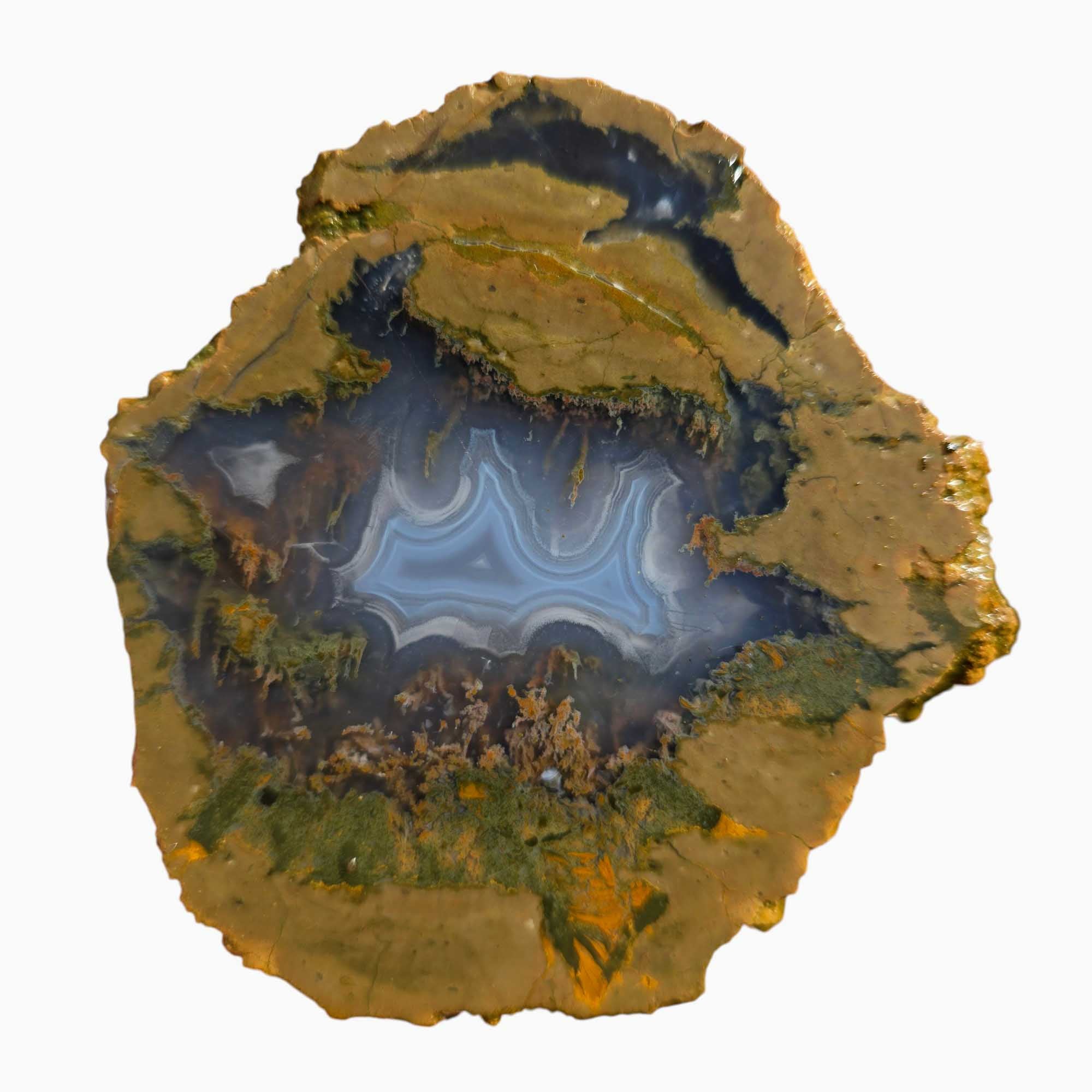 Priday Moss Bed Egg Rough Chunk Lapidary Stone Cut Face