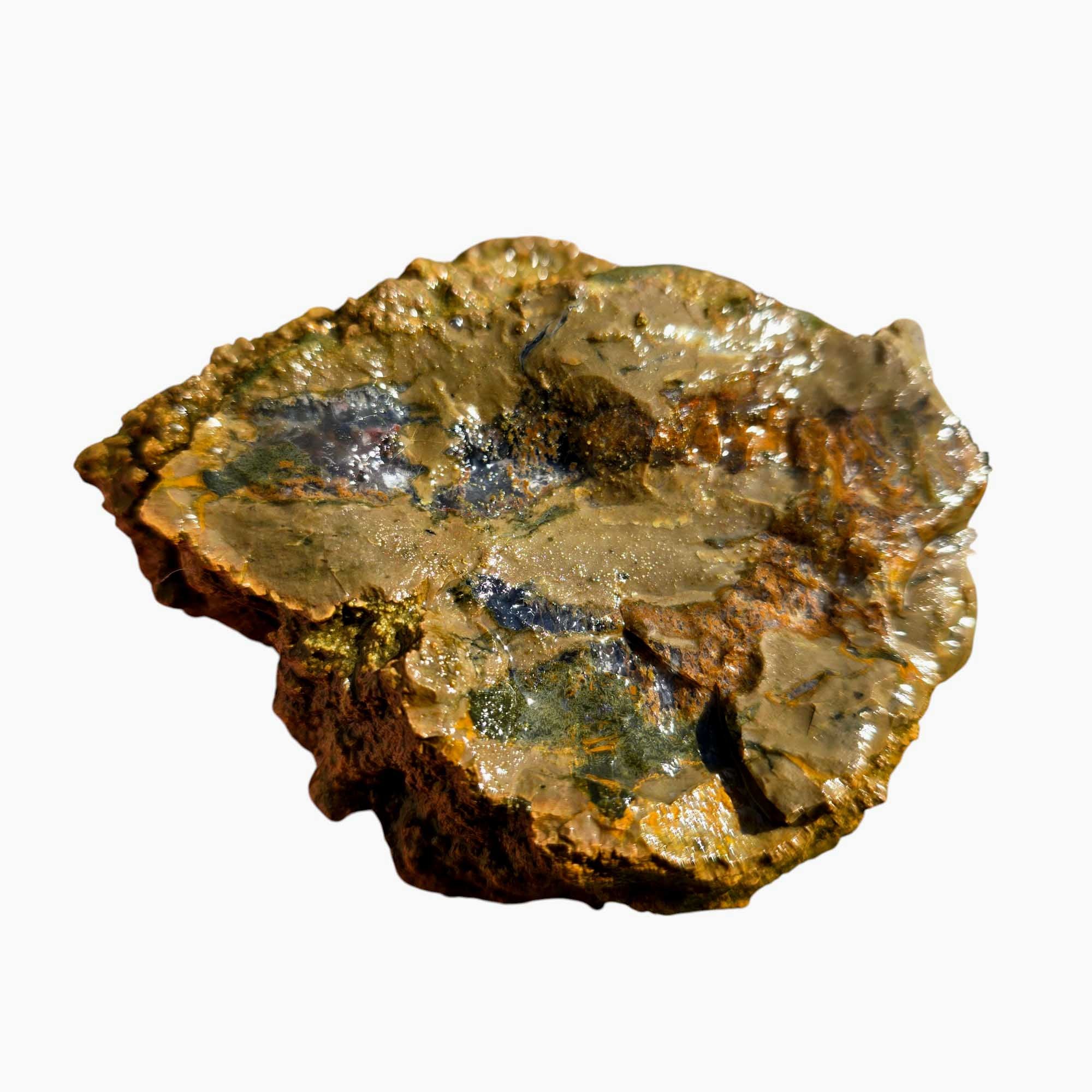 Priday Moss Bed Egg Rough Chunk Lapidary Stone Cut Face