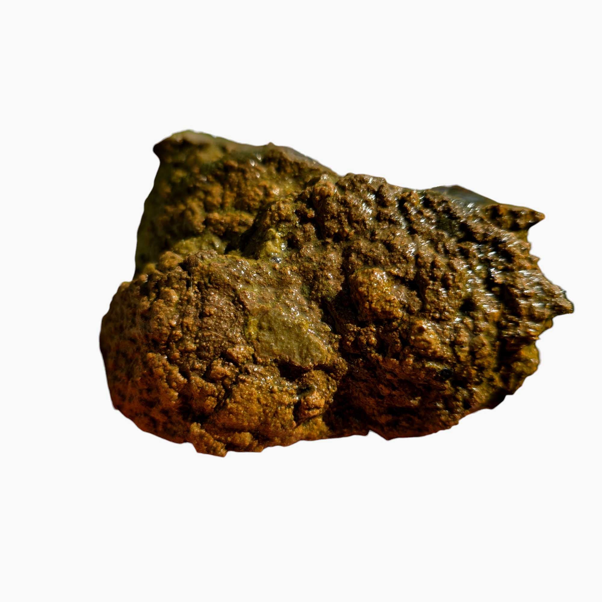 Priday Moss Bed Egg Rough Chunk Lapidary Stone Cut Face