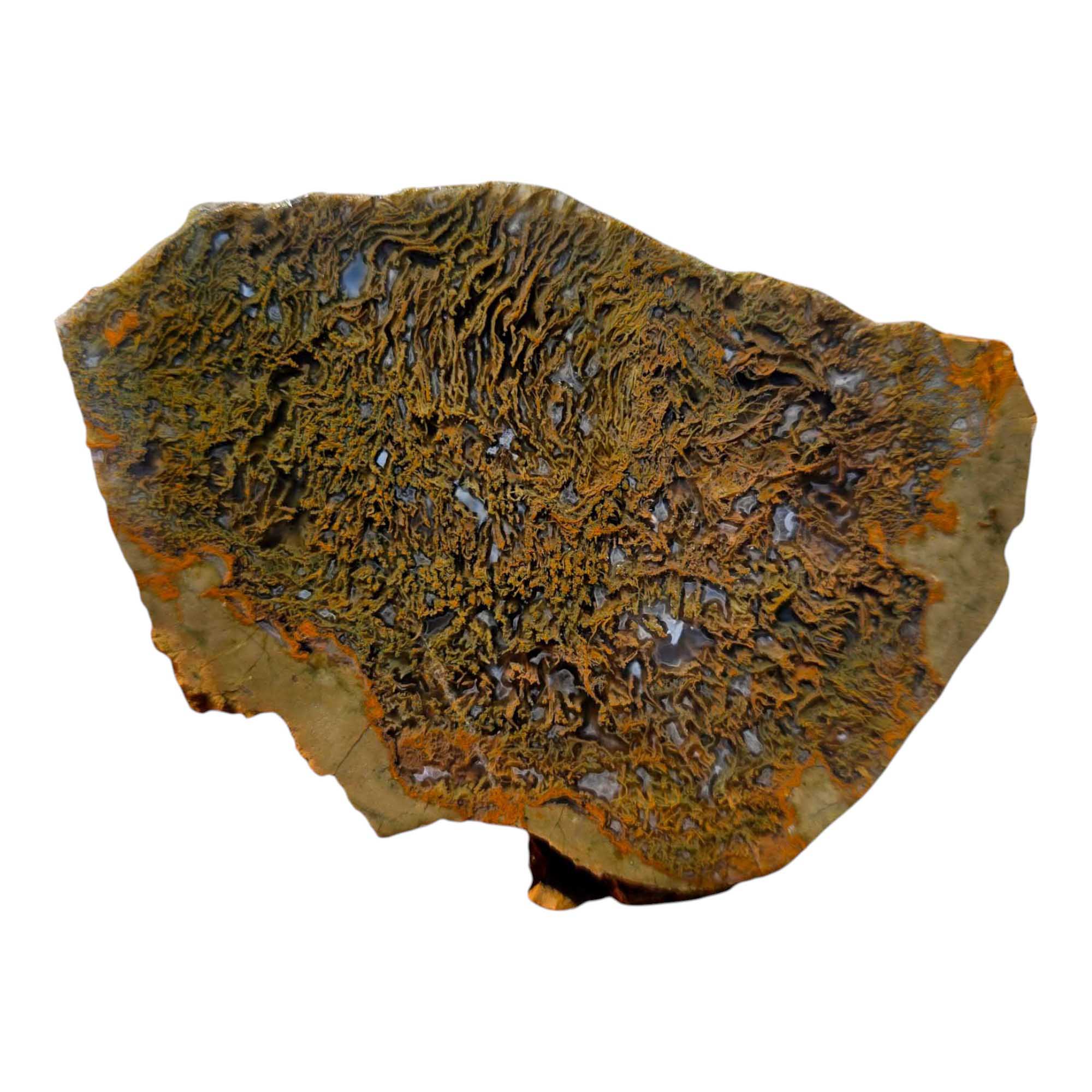 Priday Moss Bed Egg Rough Chunk Lapidary Stone Cut Face