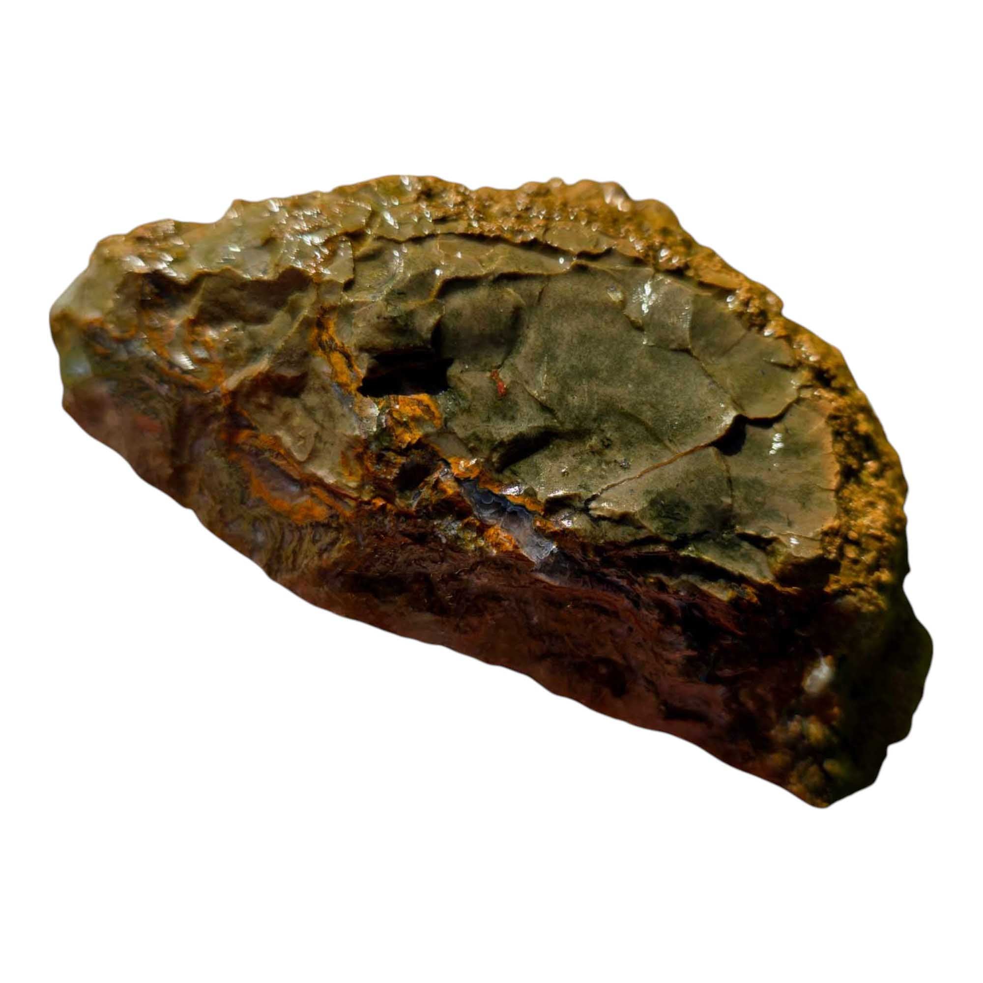 Priday Moss Bed Egg Rough Chunk Lapidary Stone Cut Face