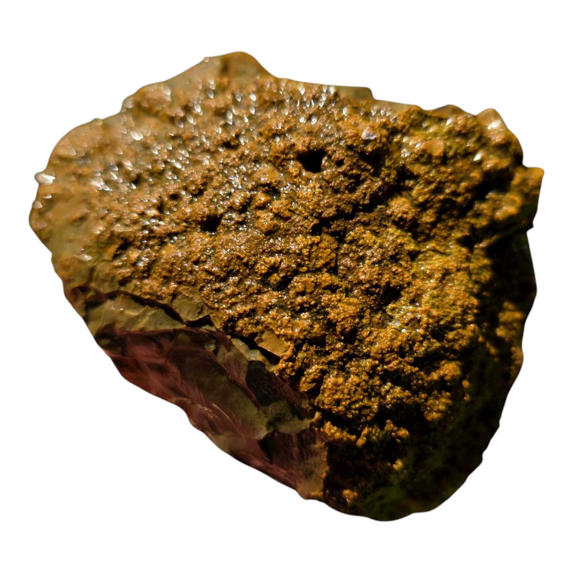 Priday Moss Bed Egg Rough Chunk Lapidary Stone Cut Face