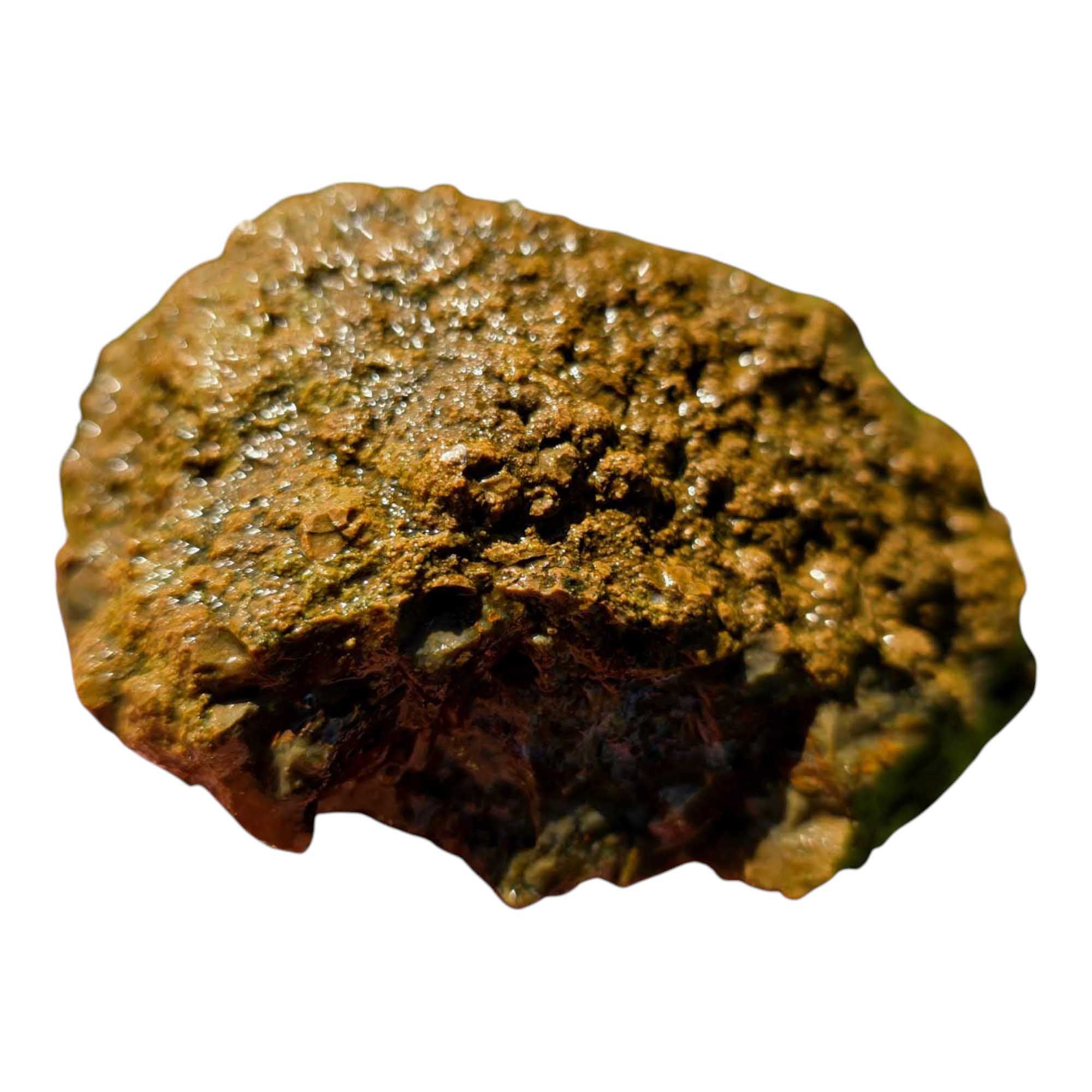 Priday Moss Bed Egg Rough Chunk Lapidary Stone Cut Face