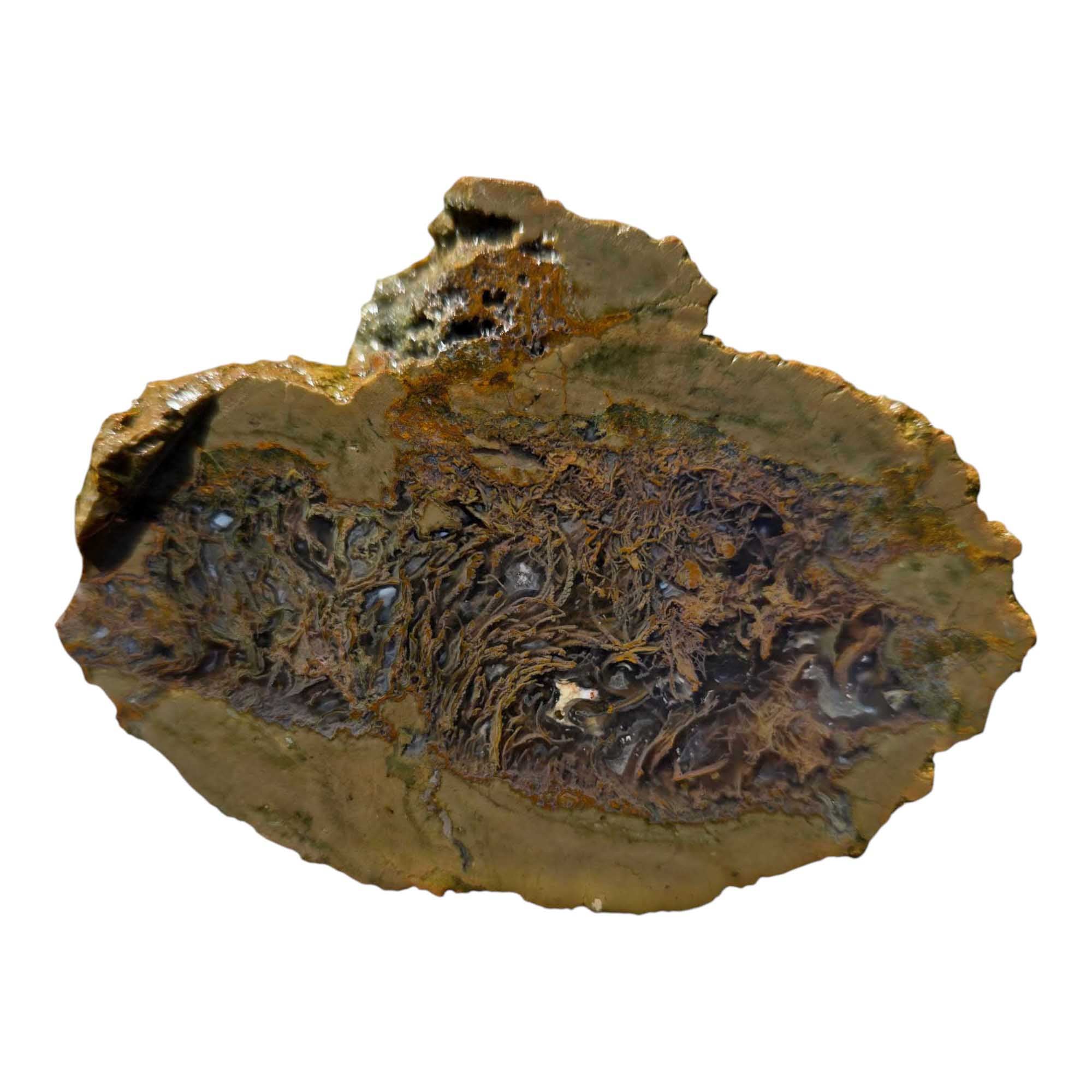 Priday Moss Bed Egg Rough Chunk Lapidary Stone Cut Face