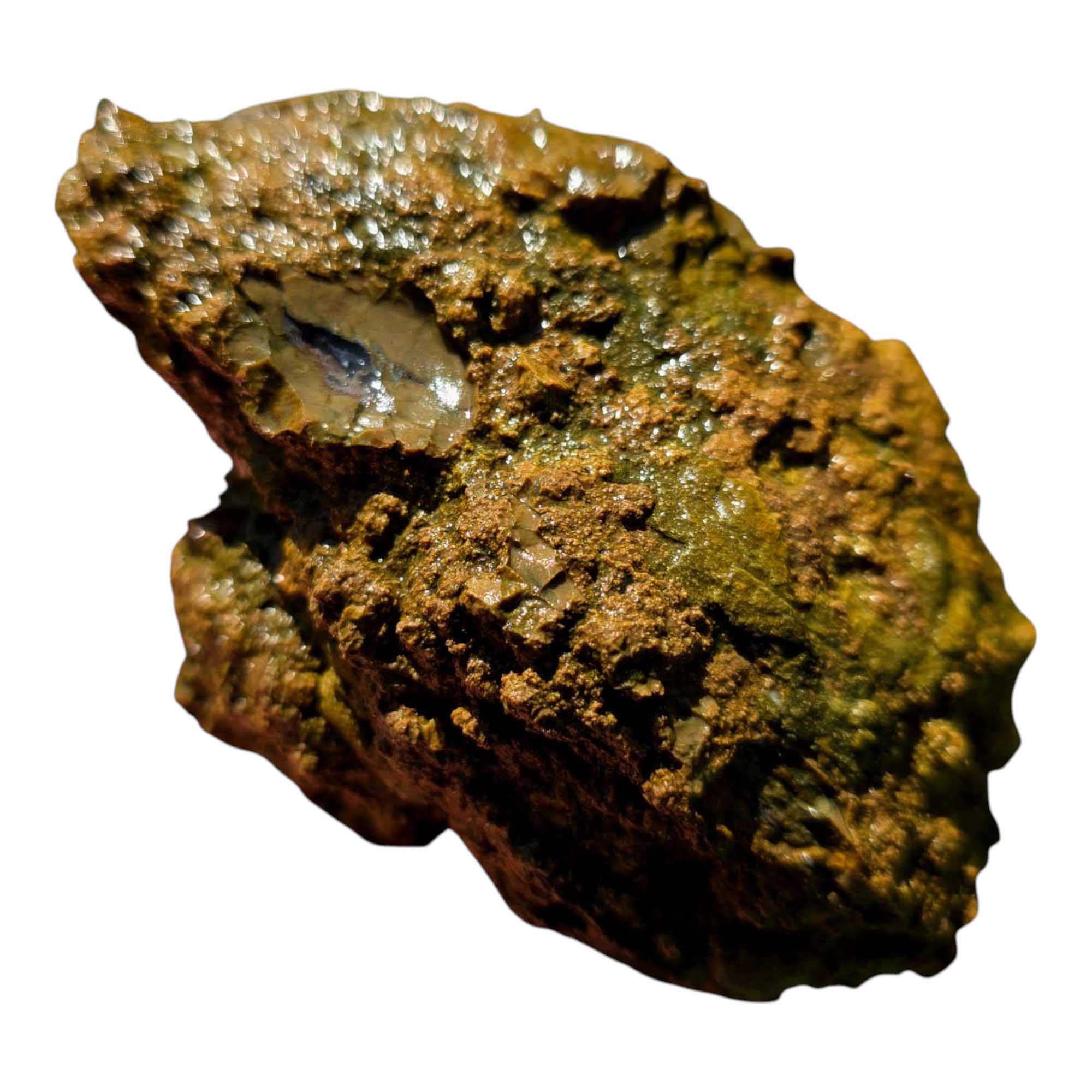 Priday Moss Bed Egg Rough Chunk Lapidary Stone Cut Face