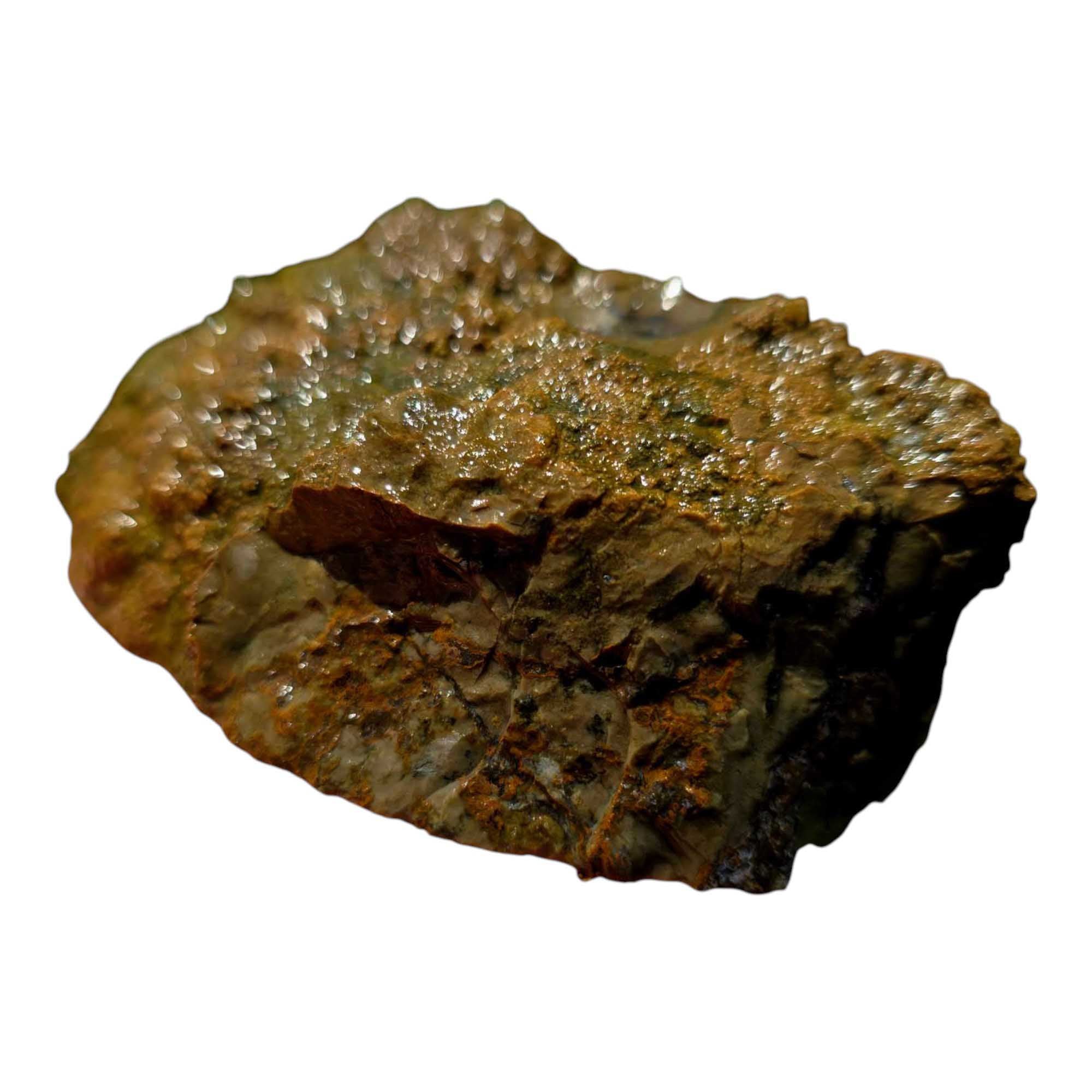 Priday Moss Bed Egg Rough Chunk Lapidary Stone Cut Face