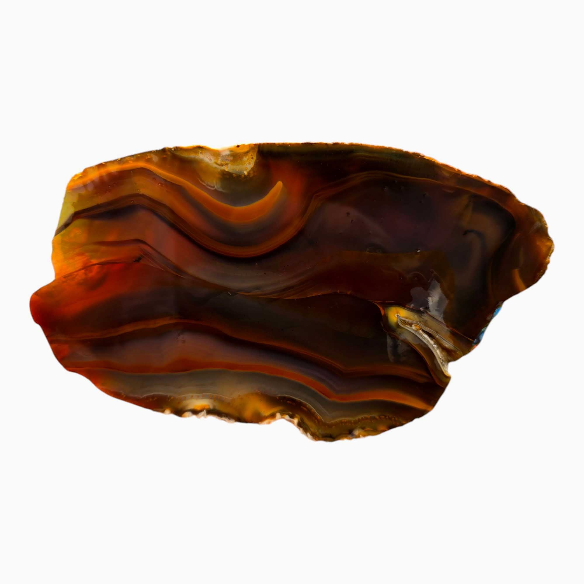 Piranha Brazilian Agate Lapidary Cutting Rough Chunk Stone Cut Face
