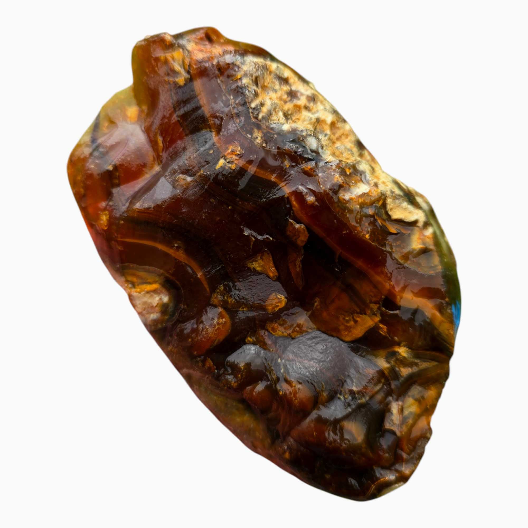 Piranha Brazilian Agate Lapidary Cutting Rough Chunk Stone Cut Face