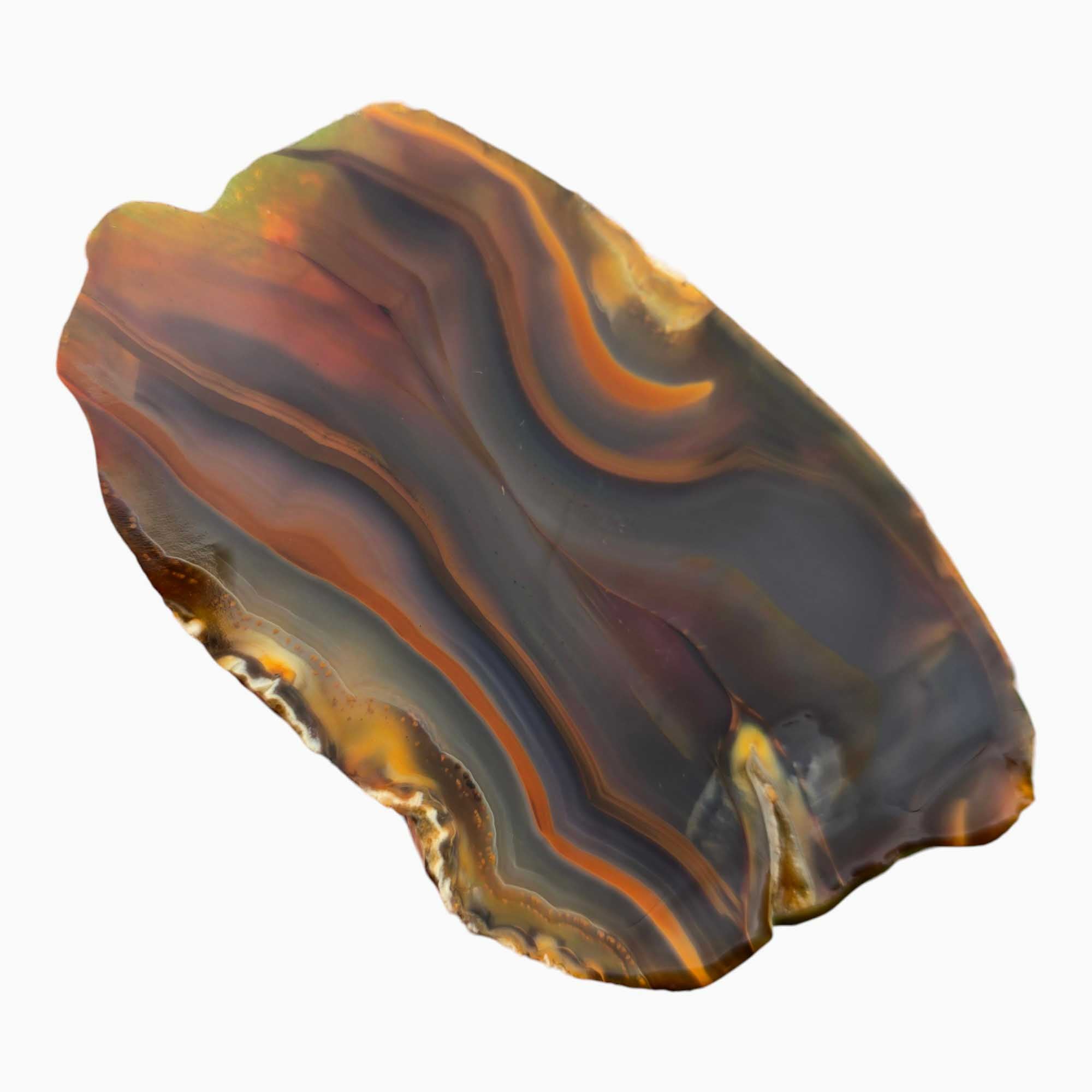Piranha Brazilian Agate Lapidary Cutting Rough Chunk Stone Cut Face