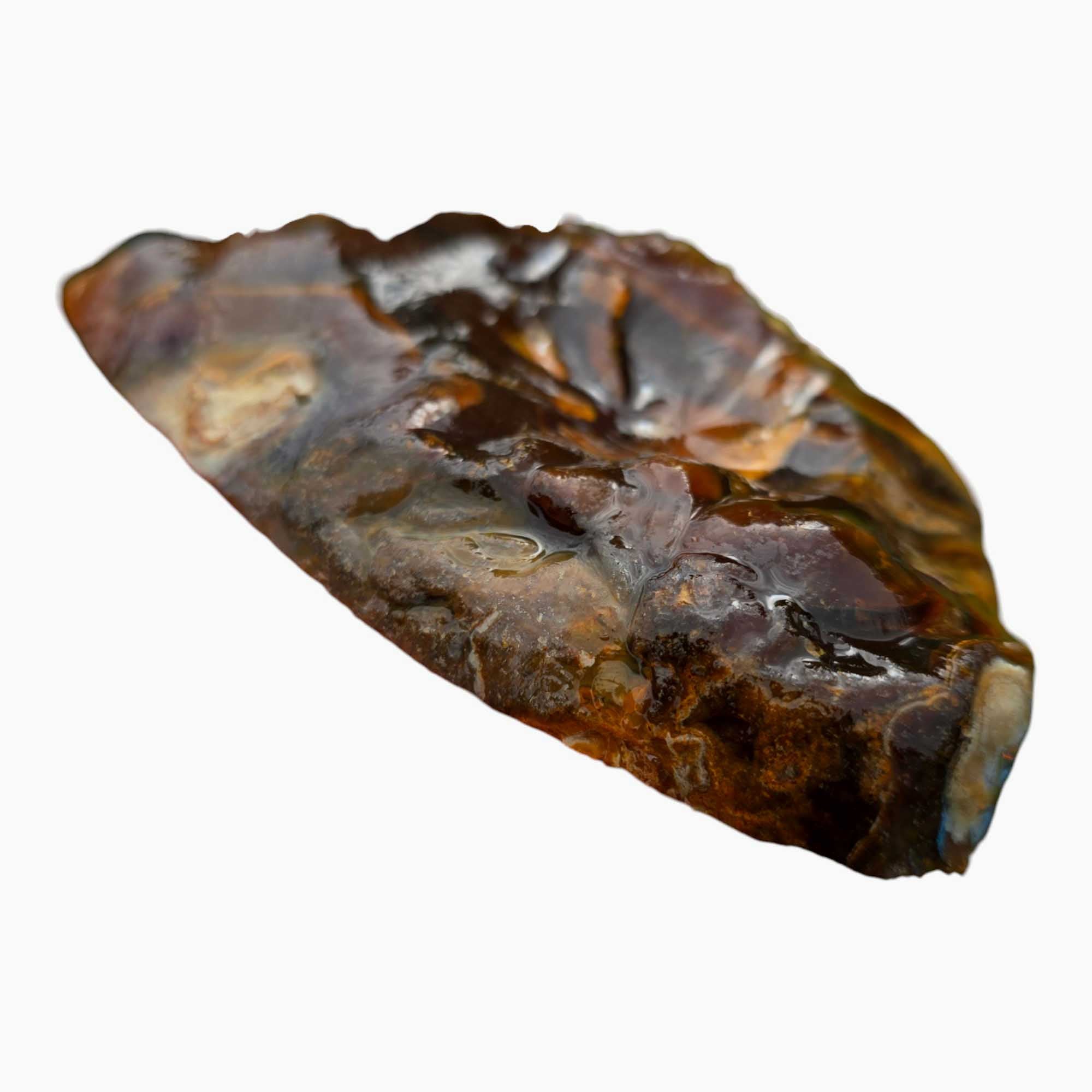 Piranha Brazilian Agate Lapidary Cutting Rough Chunk Stone Cut Face