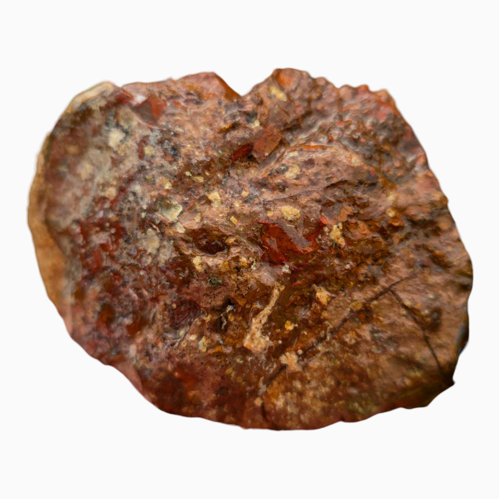 Rare Whisky Creek Brecciated Jasper Lapidary Cutting Rough Chunk Stone Cut Face