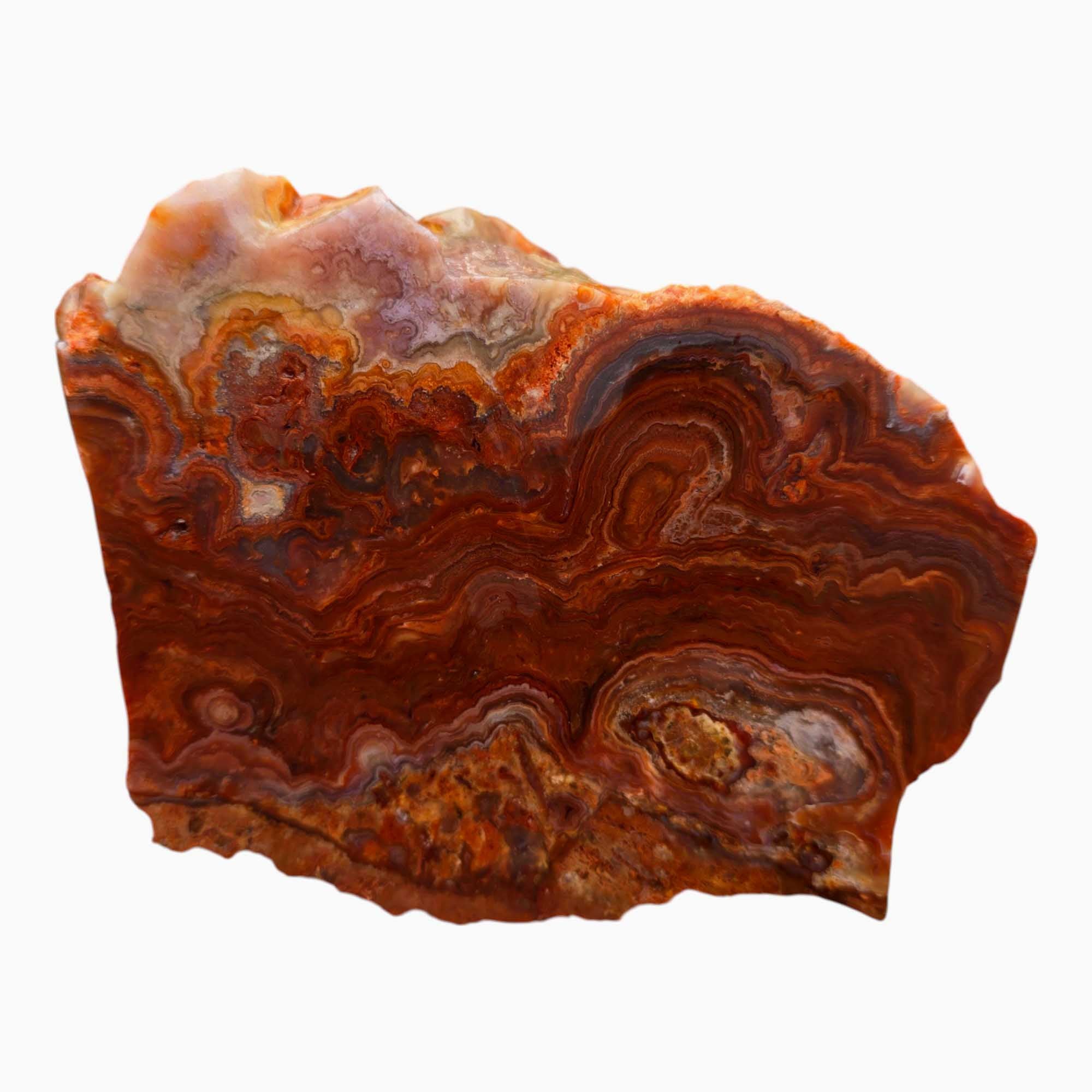 Fire Horizon Lace Agate Lapidary Cutting Rough Chunk Stone Cut Face