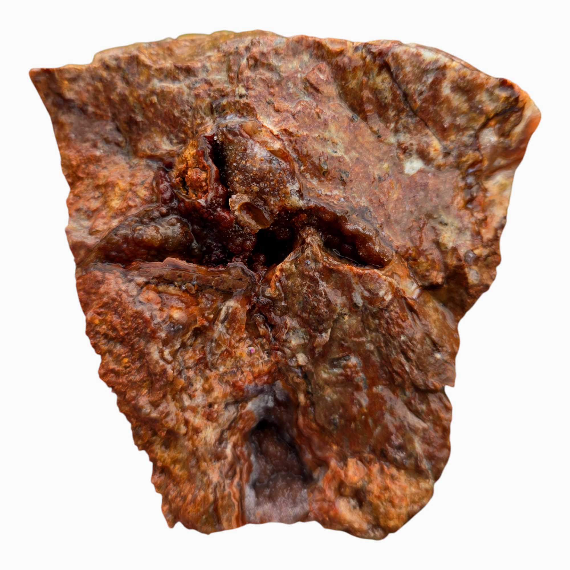 Fire Horizon Lace Agate Lapidary Cutting Rough Chunk Stone Cut Face