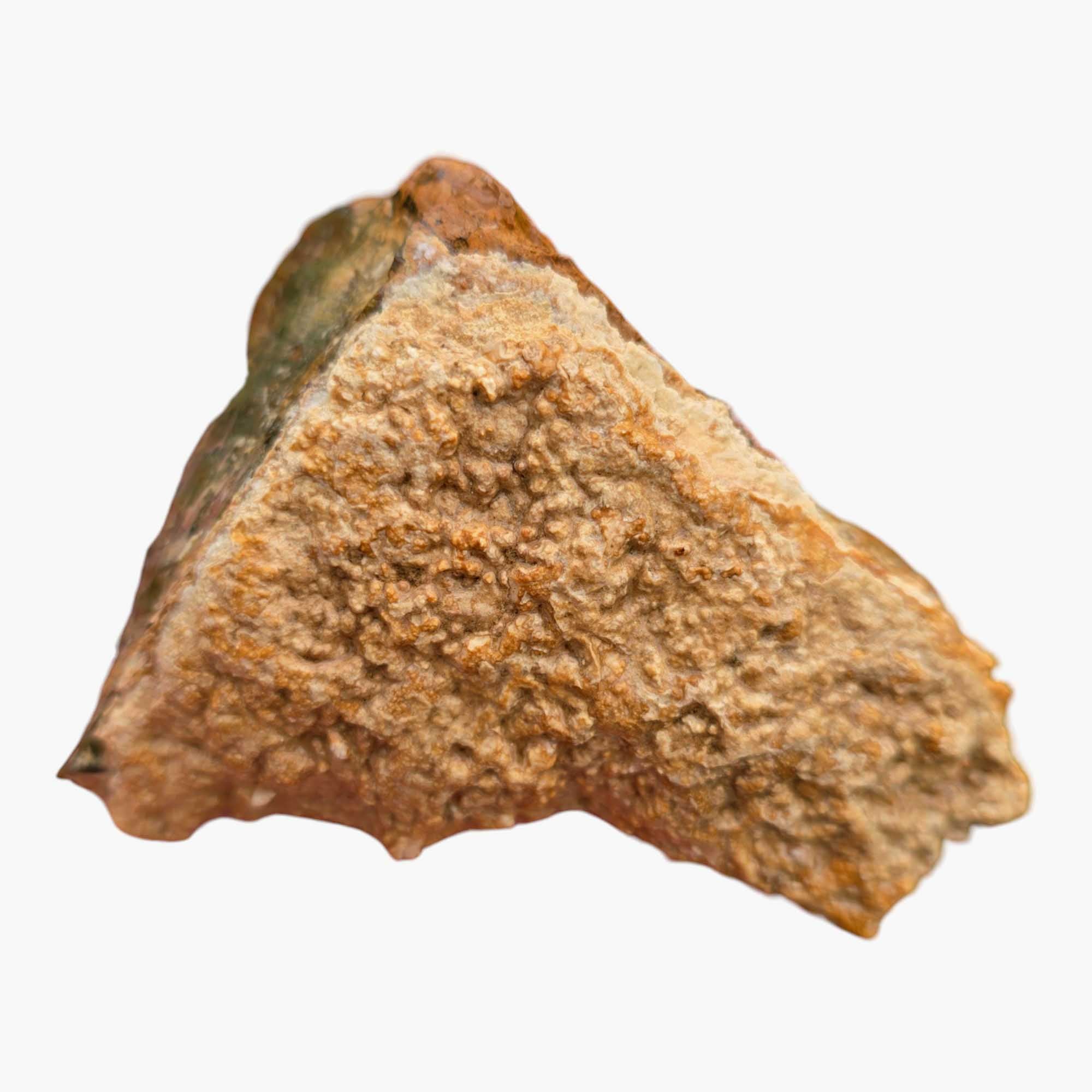 Rare Whisky Creek Brecciated Jasper Lapidary Cutting Rough Chunk Stone Cut Face